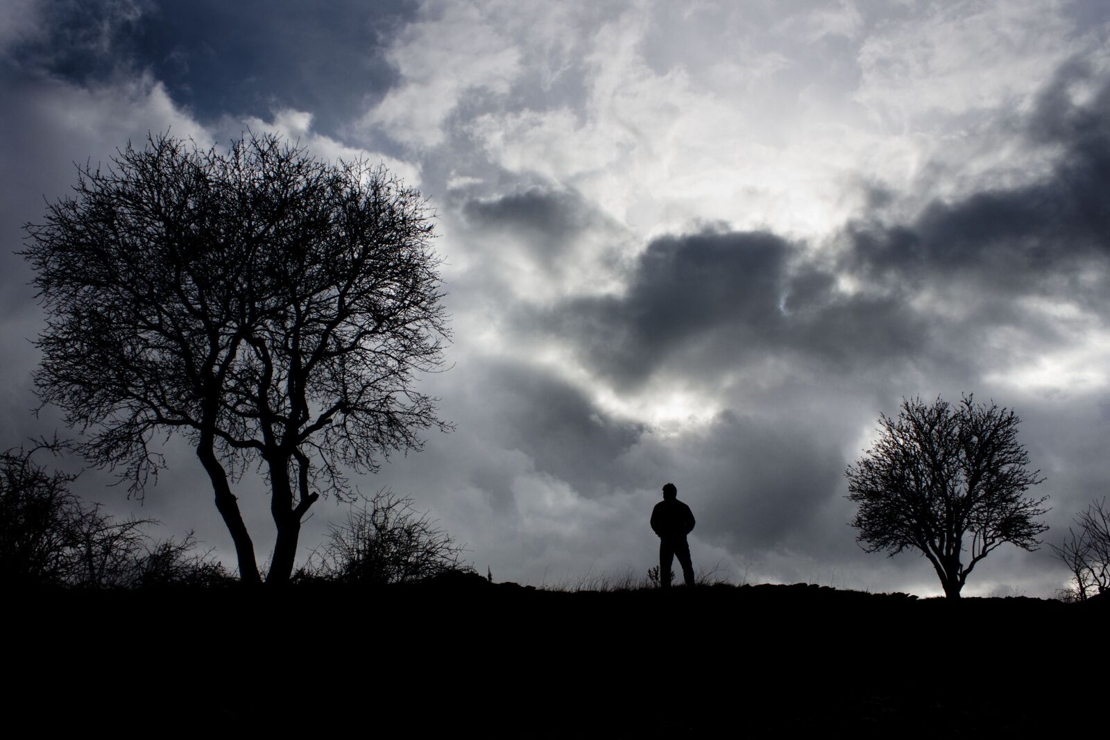Canon EOS 500D (EOS Rebel T1i / EOS Kiss X3) sample photo. Silhouette, tree, human photography