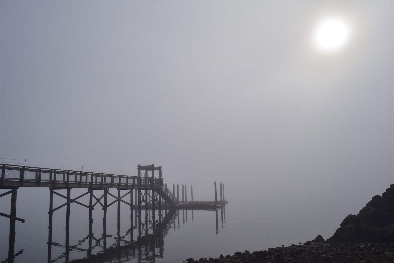 Nikon D3300 sample photo. Fog, morning, bridge photography