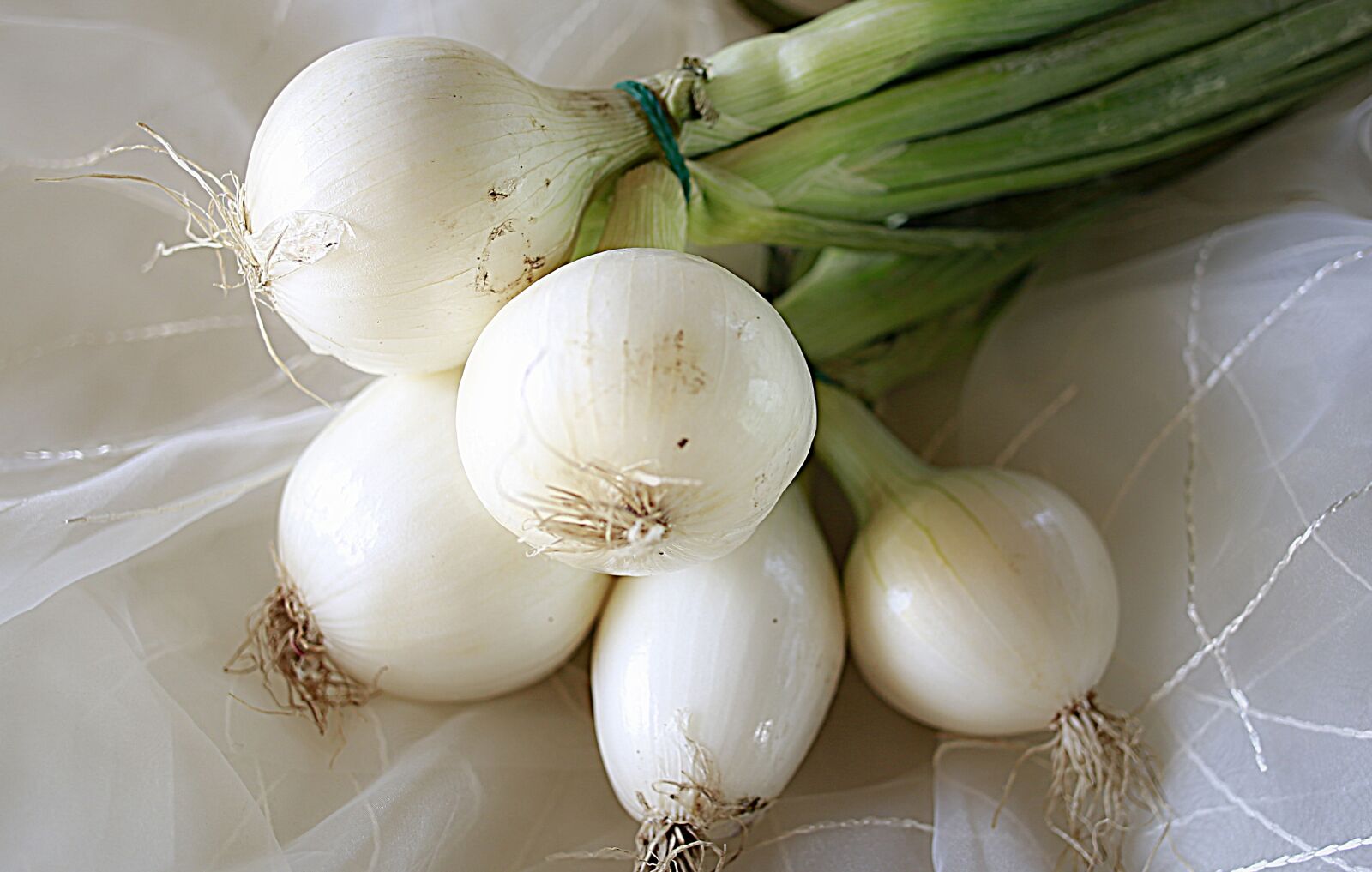Canon EOS 5D Mark III sample photo. Onion, vegetable, power photography