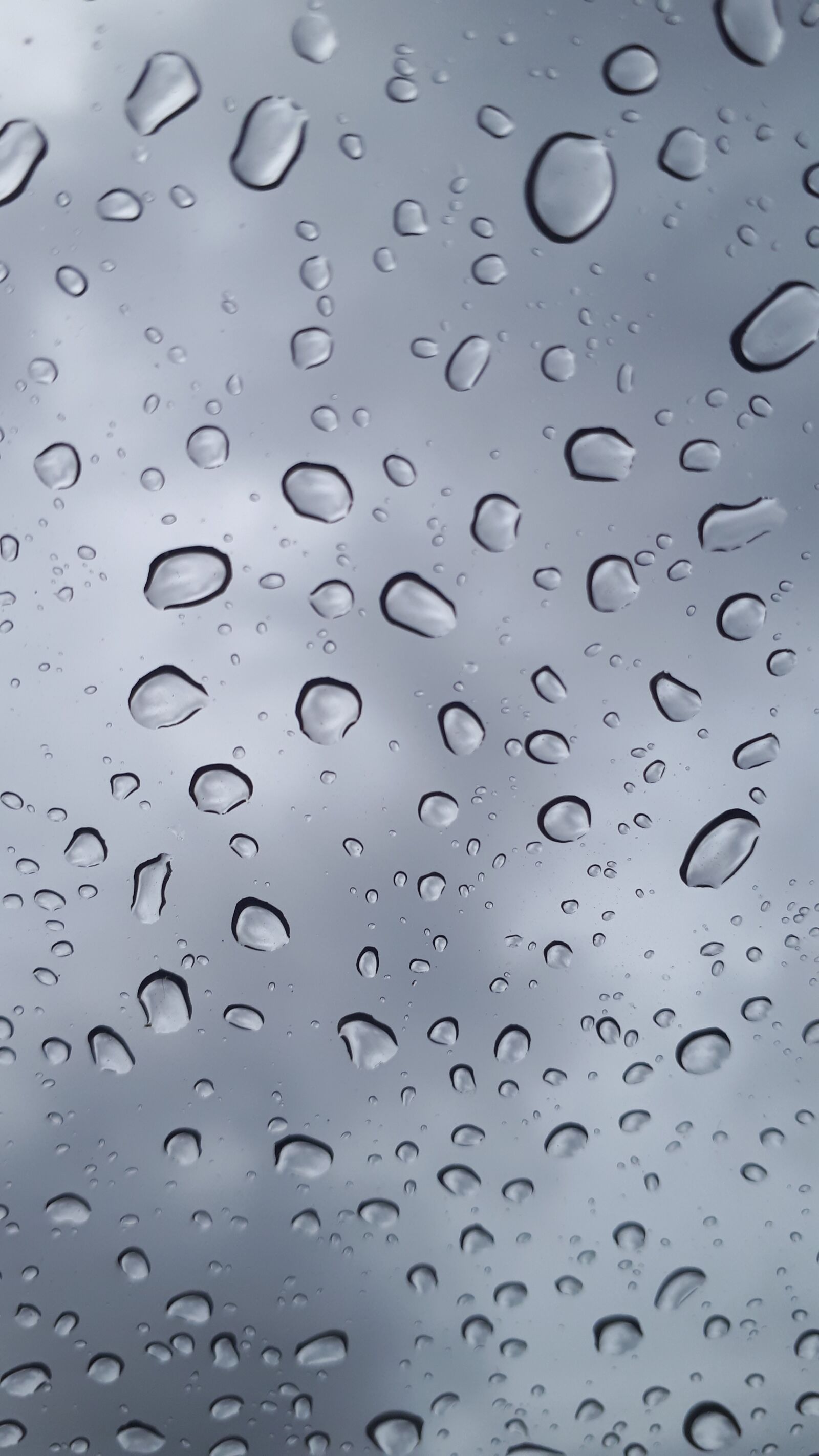 Samsung Galaxy A5(2017) sample photo. Rain, drops, splash photography