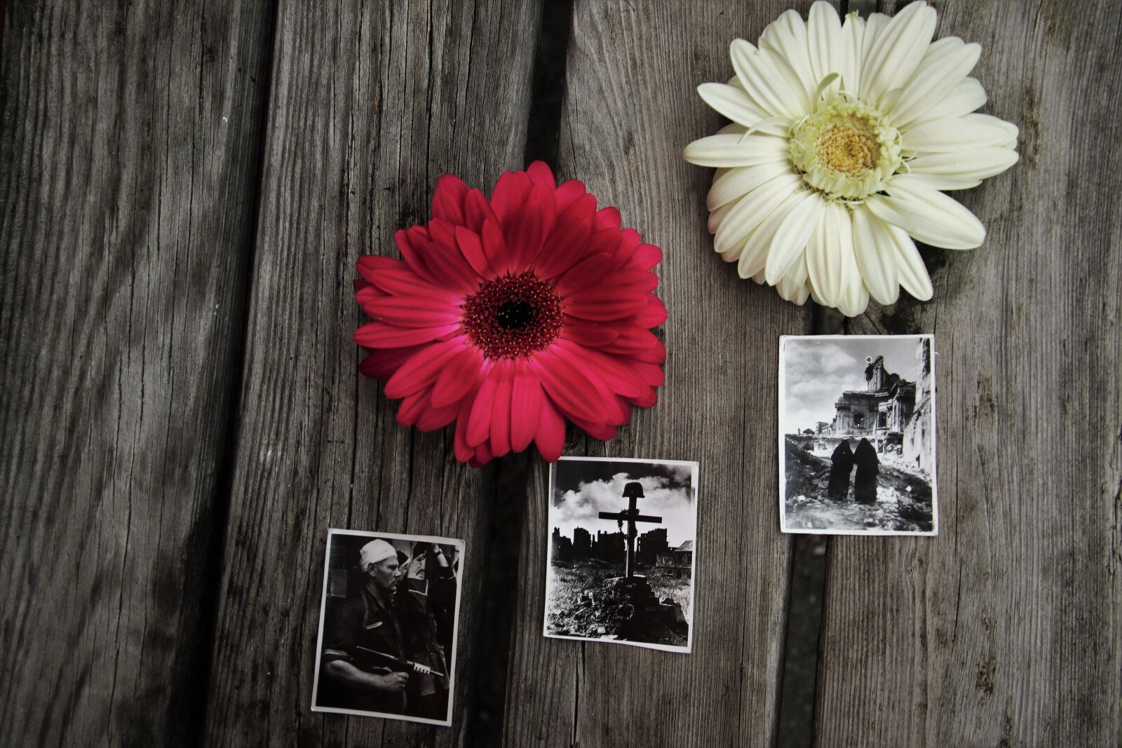 Canon EOS 80D sample photo. First, aug, 1944 photography