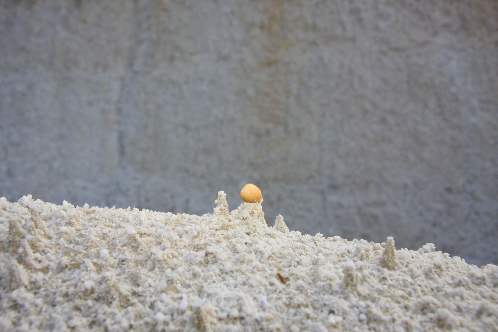 Canon EOS 40D sample photo. Stone, kaolin, weathering photography