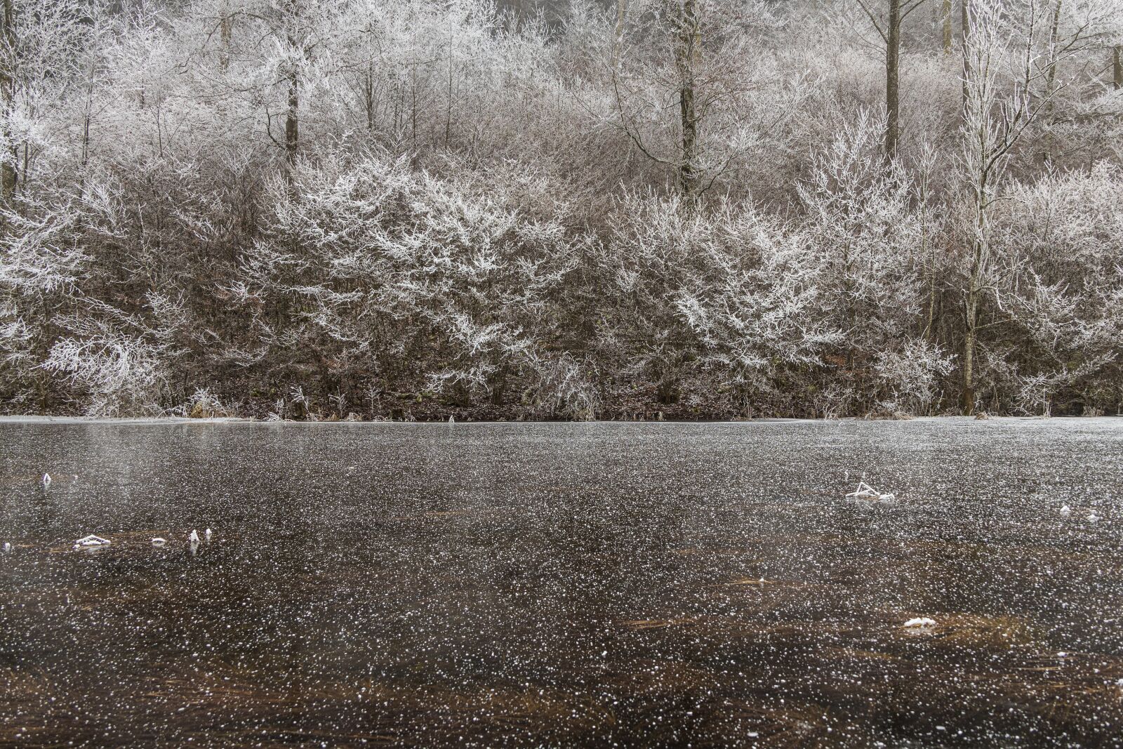 Canon EOS R sample photo. Ice, winter, cold photography