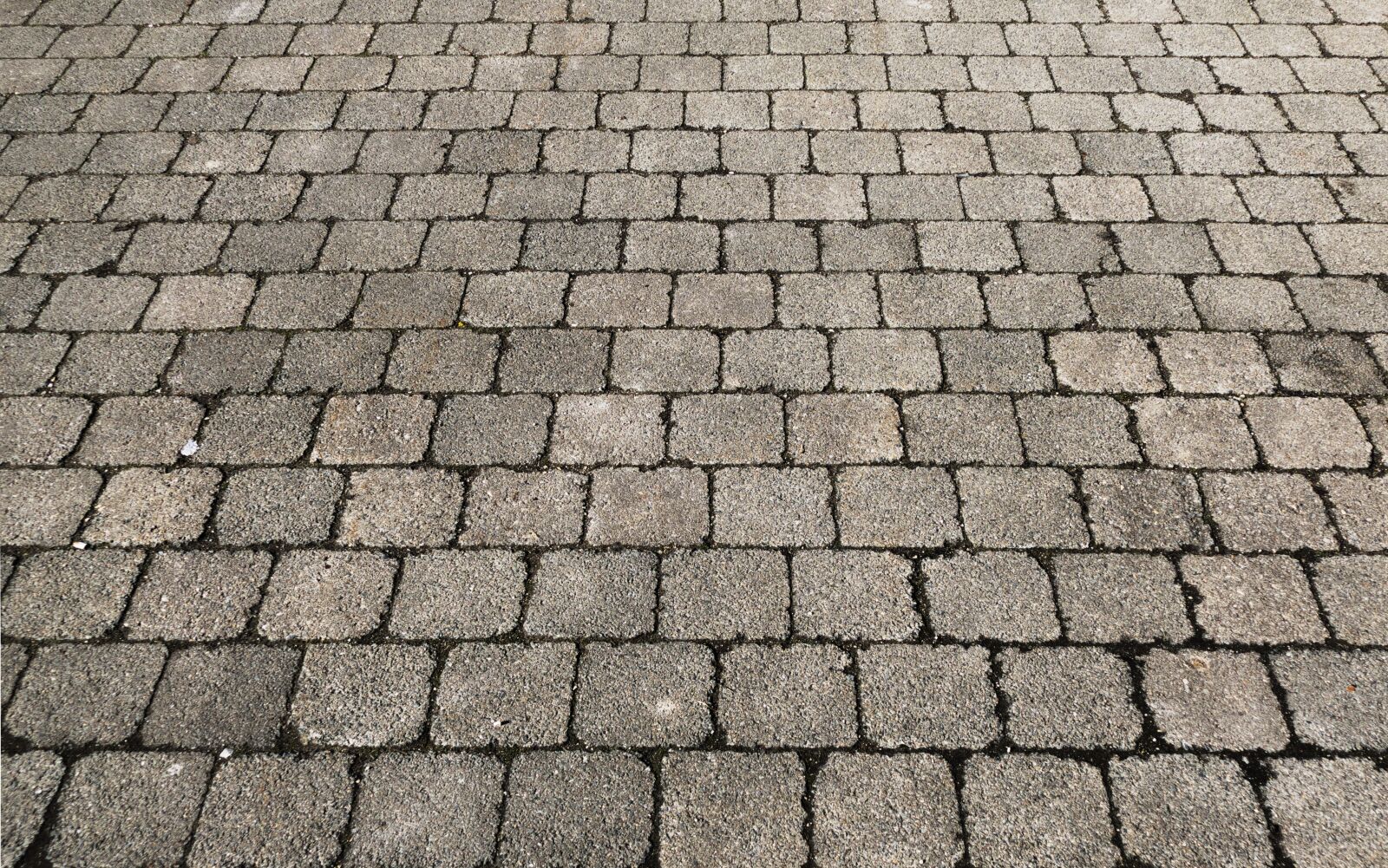 Panasonic Lumix DMC-FZ1000 sample photo. Patch, paving stone texture photography