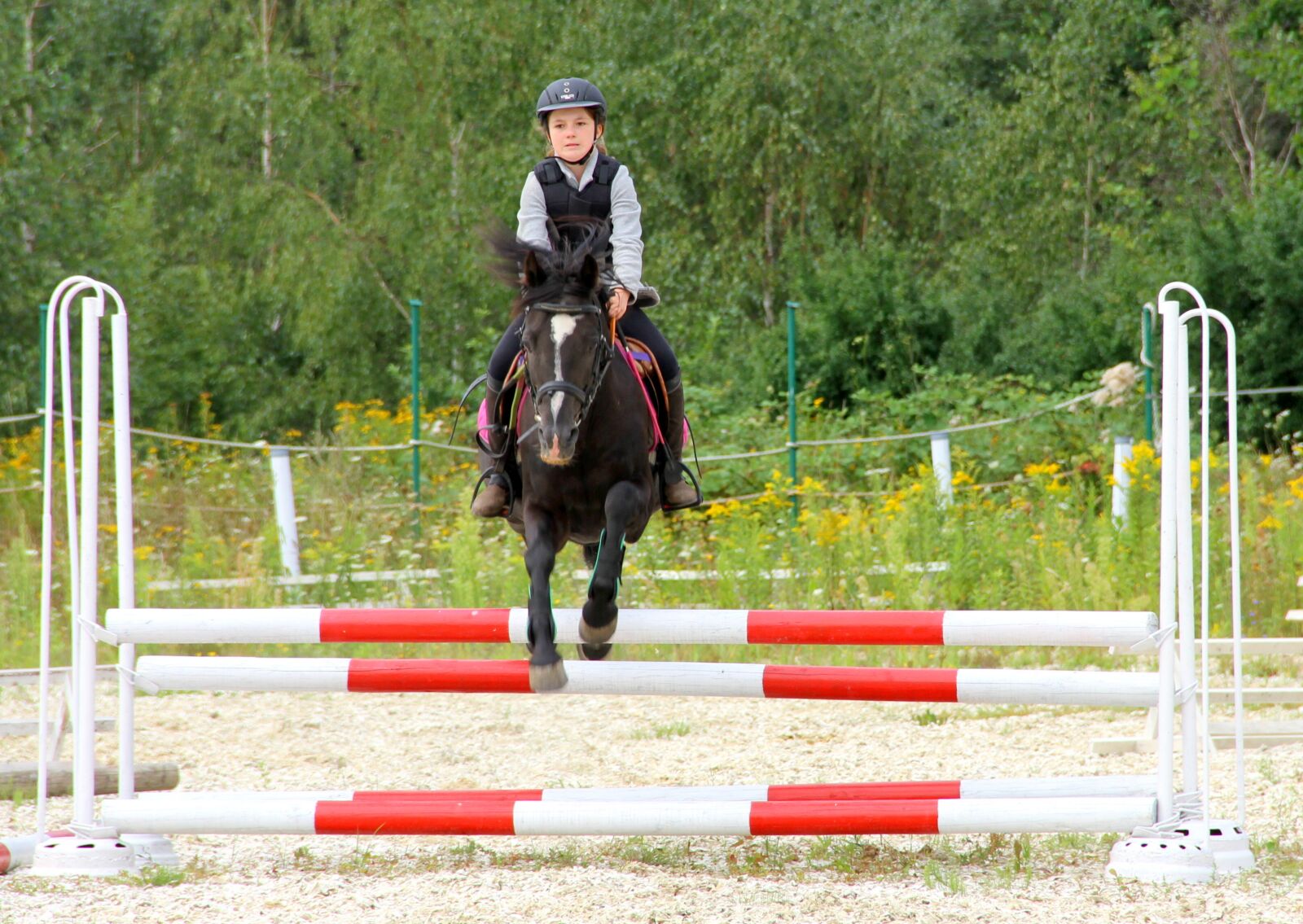 Canon EOS 7D sample photo. The horse, fun, for photography