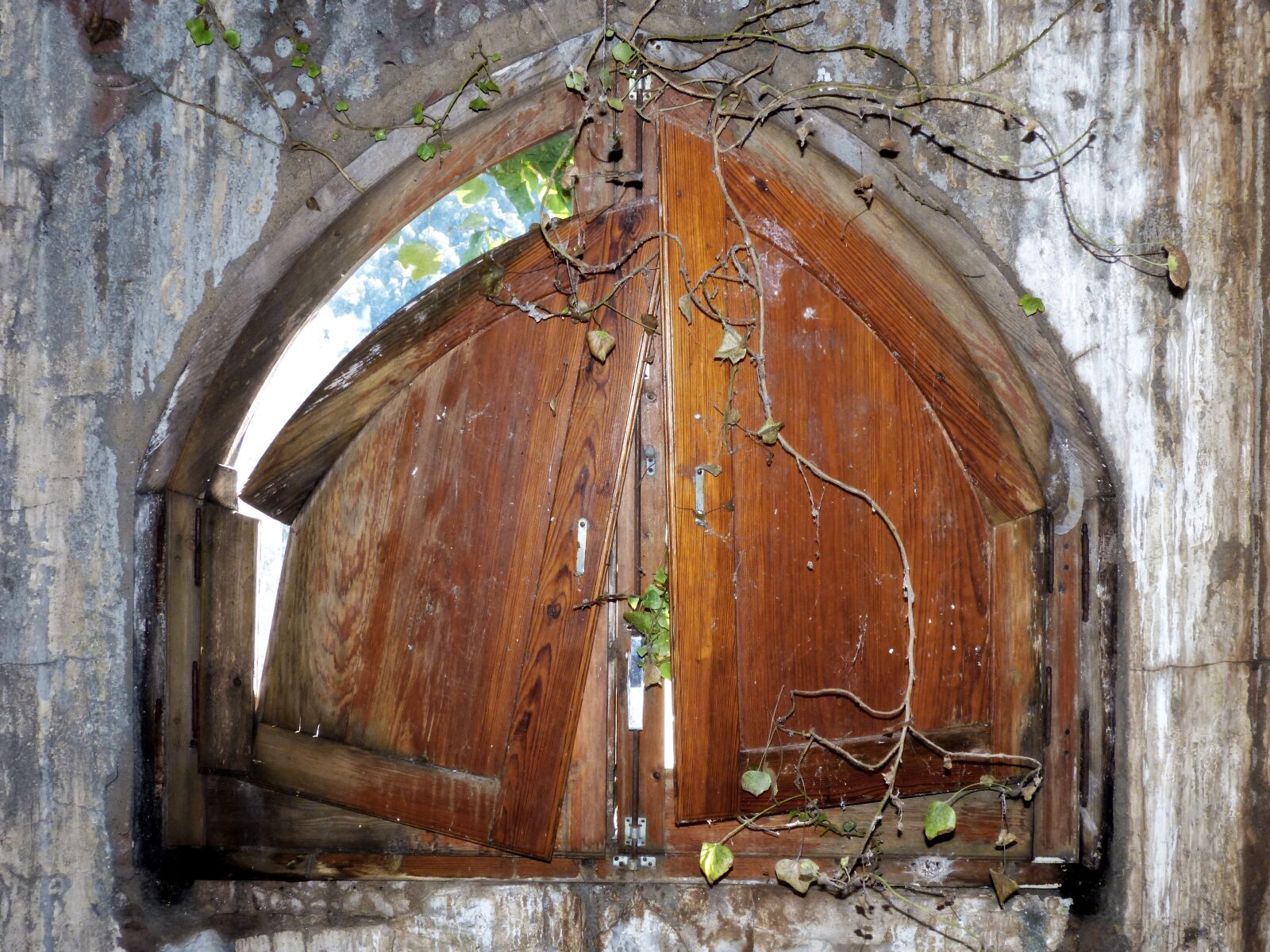 Panasonic DMC-FZ62 sample photo. Window, ruin, old photography