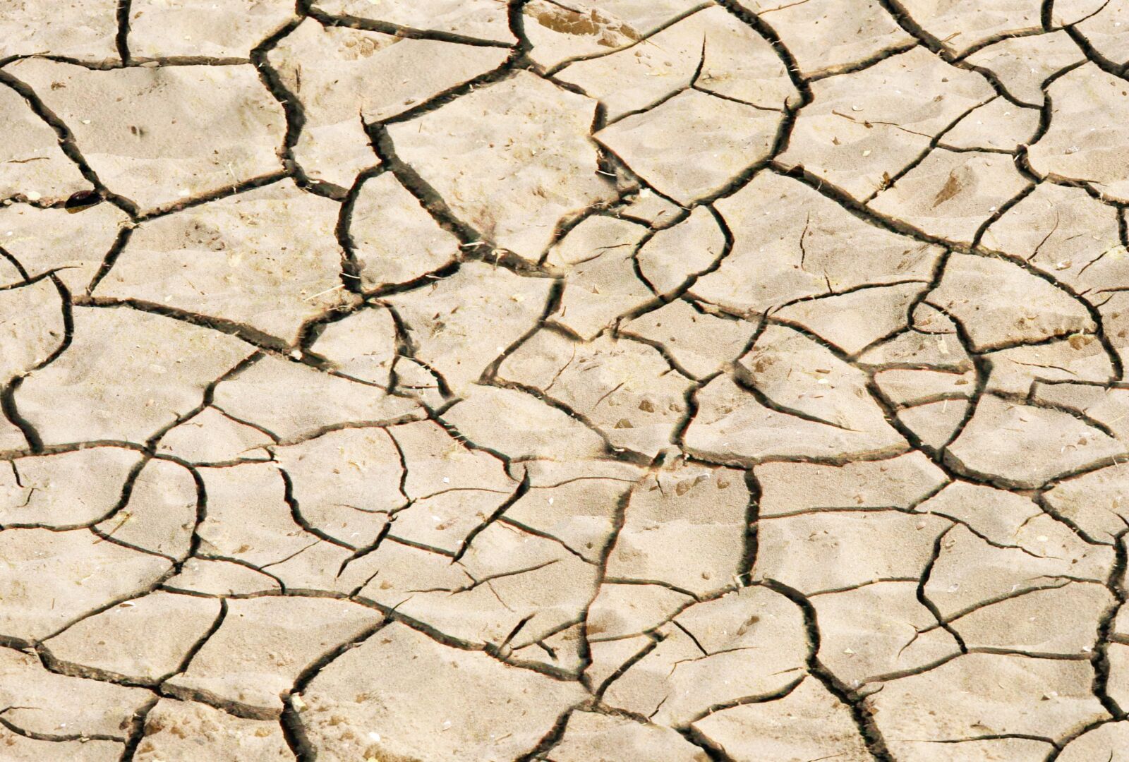 Nikon D5000 sample photo. Background, sand, texture photography