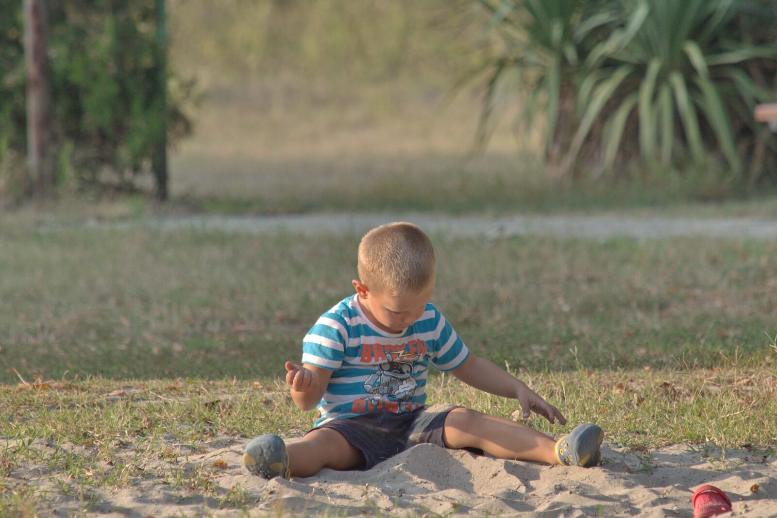 Nikon D5500 sample photo. Boy, playground, sand, child photography