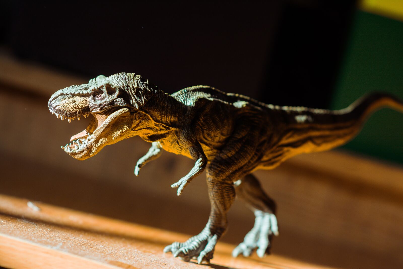 Nikon D5200 sample photo. Toy, animal, cute photography
