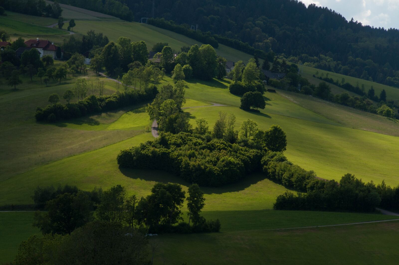 Nikon D90 sample photo. Light, shadow, spring photography