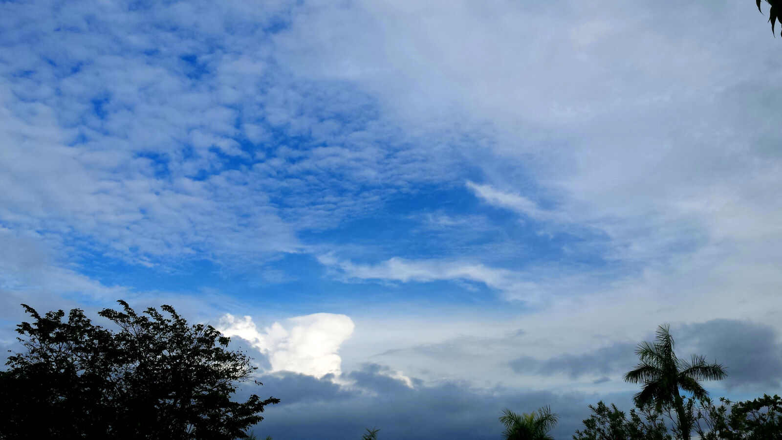 Samsung Galaxy S4 sample photo