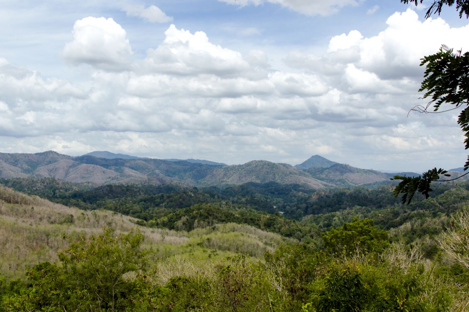 Nikon D3200 sample photo. Sky, background, outdoor photography