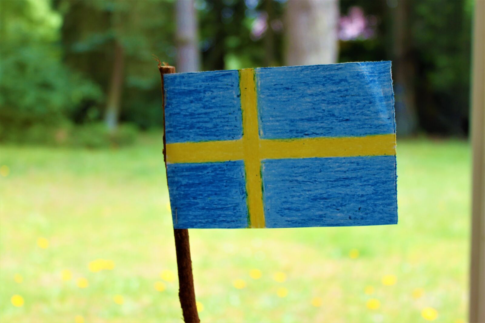 Canon EOS 500D (EOS Rebel T1i / EOS Kiss X3) sample photo. Swedish flag, sweden's flag photography