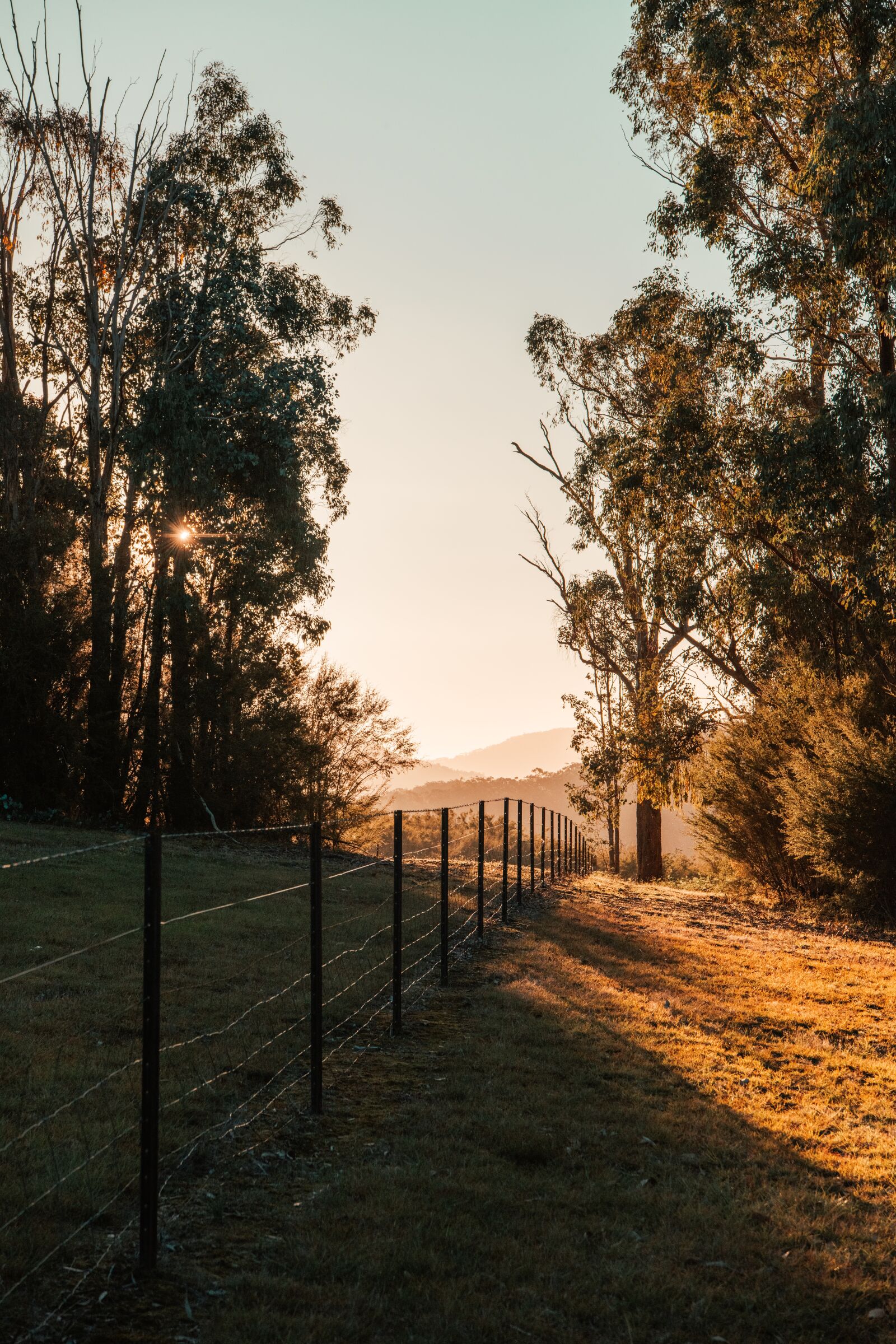 Nikon D850 sample photo. Sunset, golden hour, sunlight photography