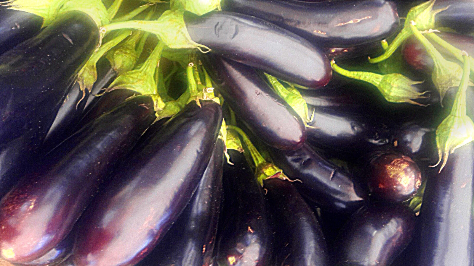 Samsung Galaxy J7 sample photo. Eggplants photography