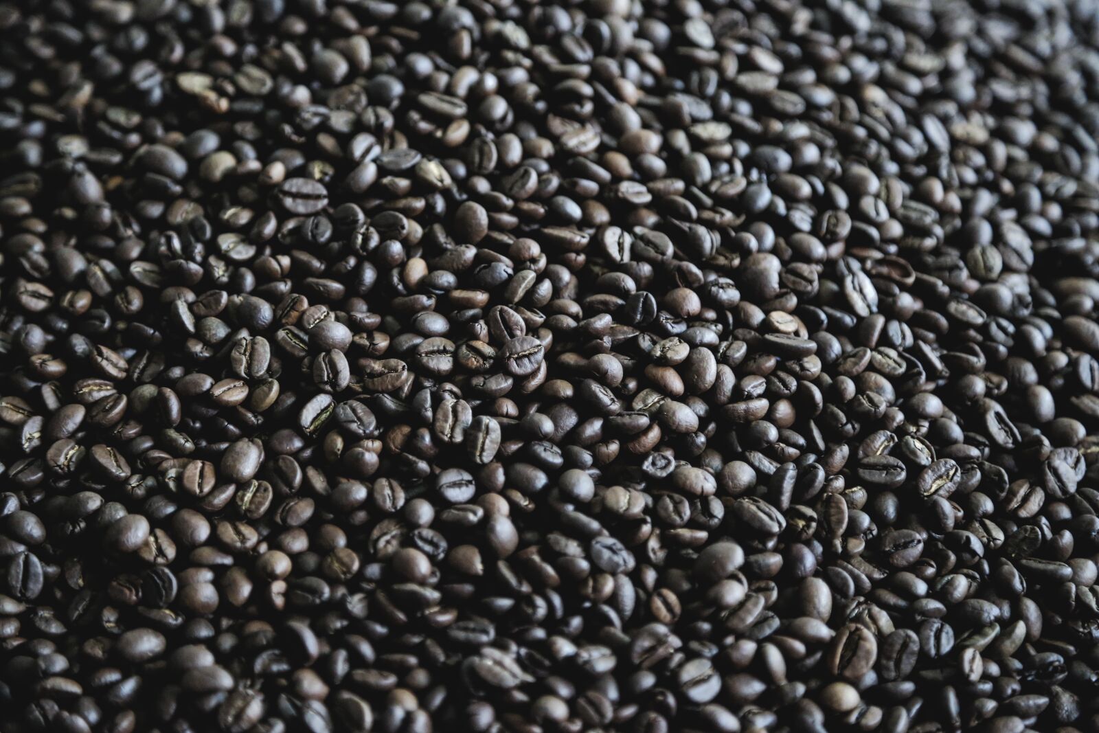 Canon EOS 5D Mark III sample photo. Coffee, light, shadow photography