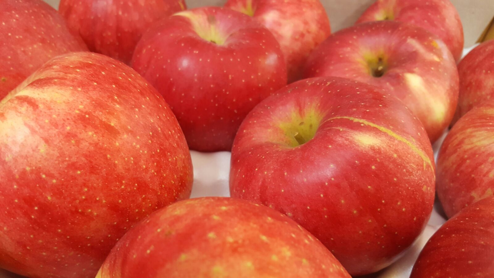 Samsung Galaxy S6 sample photo. Red, apple, fruit photography