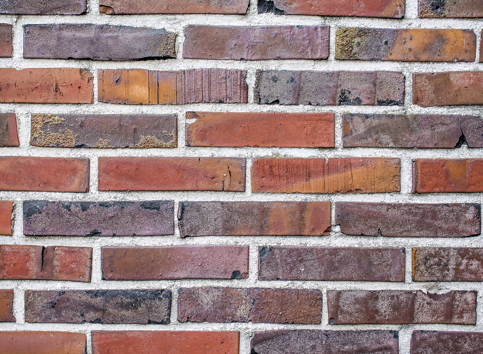 Canon EOS 1100D (EOS Rebel T3 / EOS Kiss X50) sample photo. Background, brick, wall, bricks photography