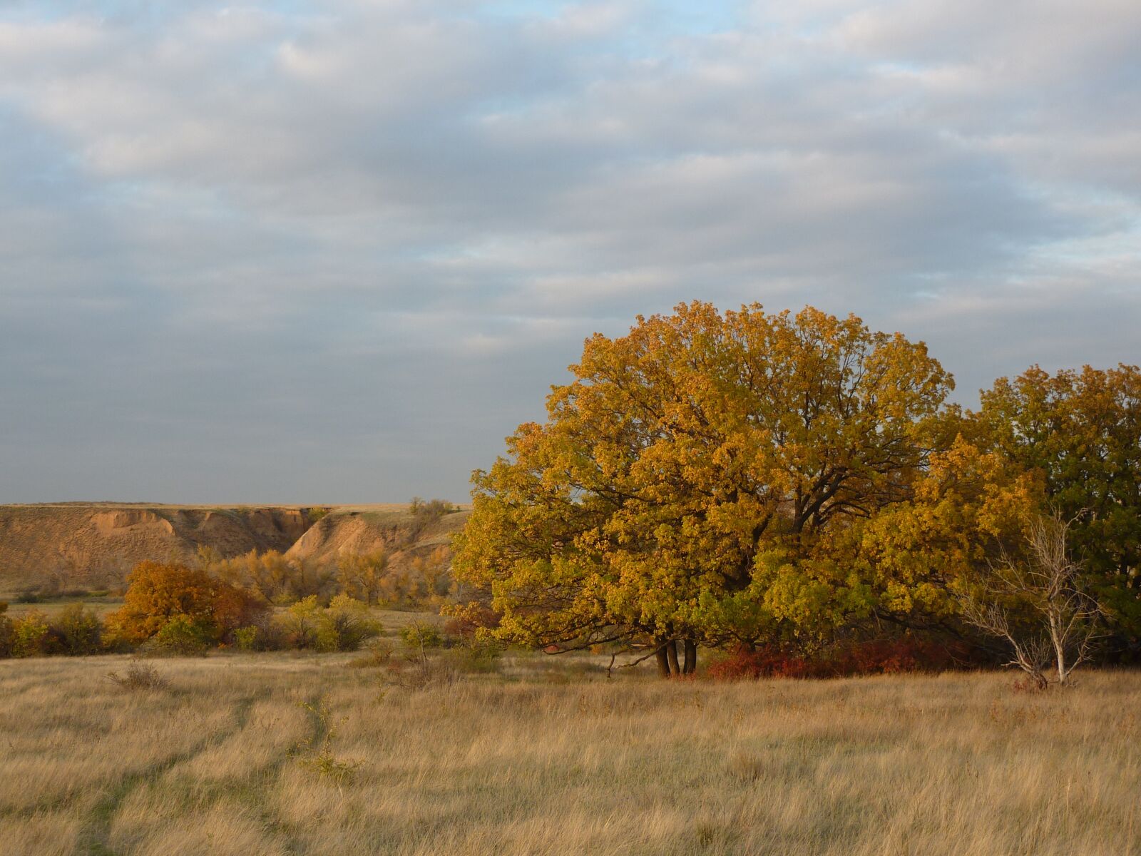 Panasonic DMC-TZ7 sample photo. Nature, autumn, irina photography