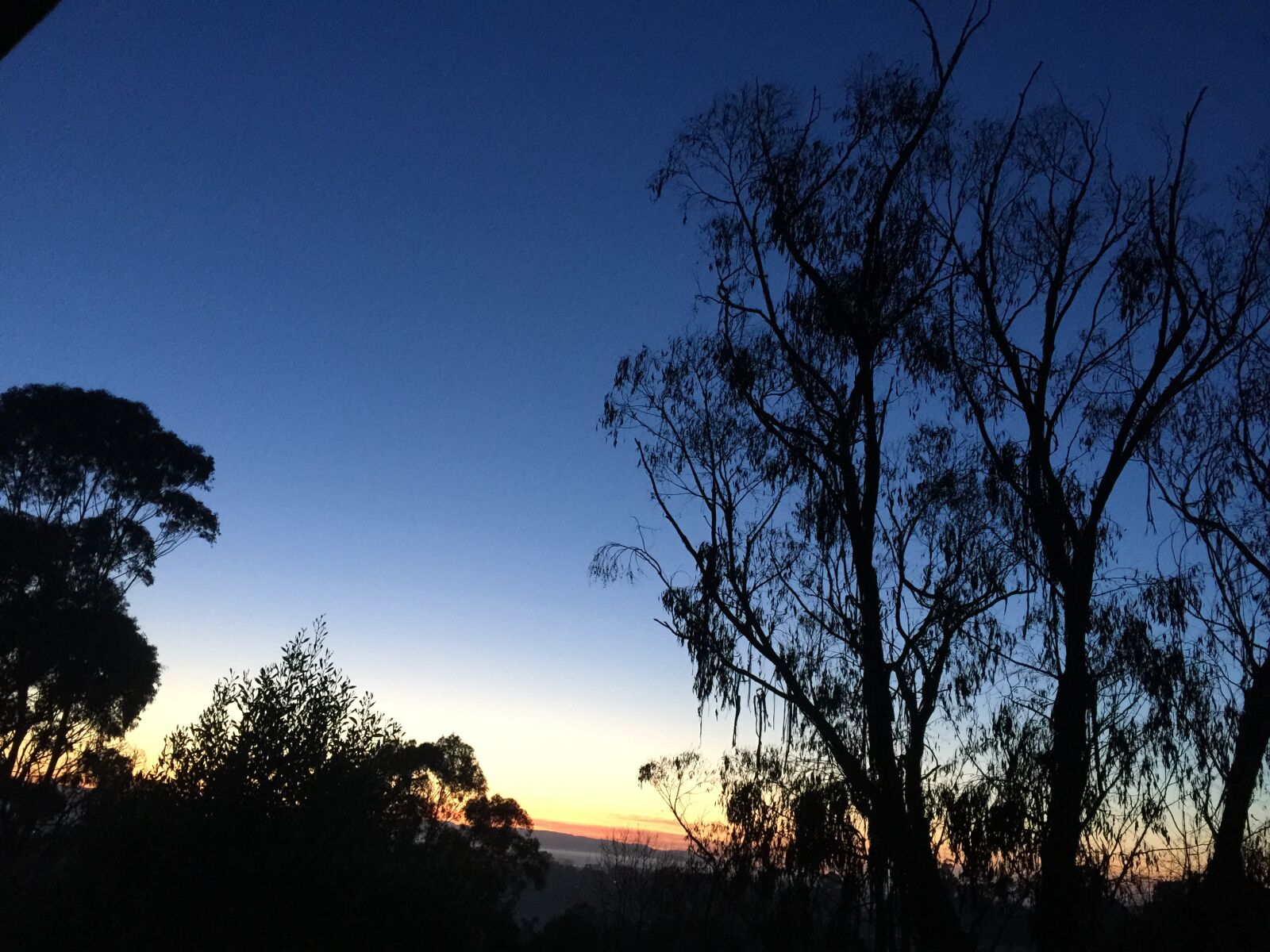 Apple iPhone 6 Plus sample photo. Sunset, monbulk, australia photography