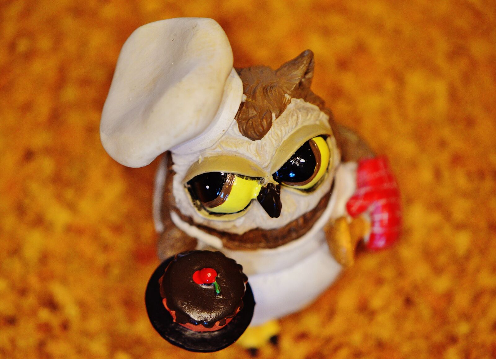 Nikon D3200 sample photo. Owl, bake, baker photography