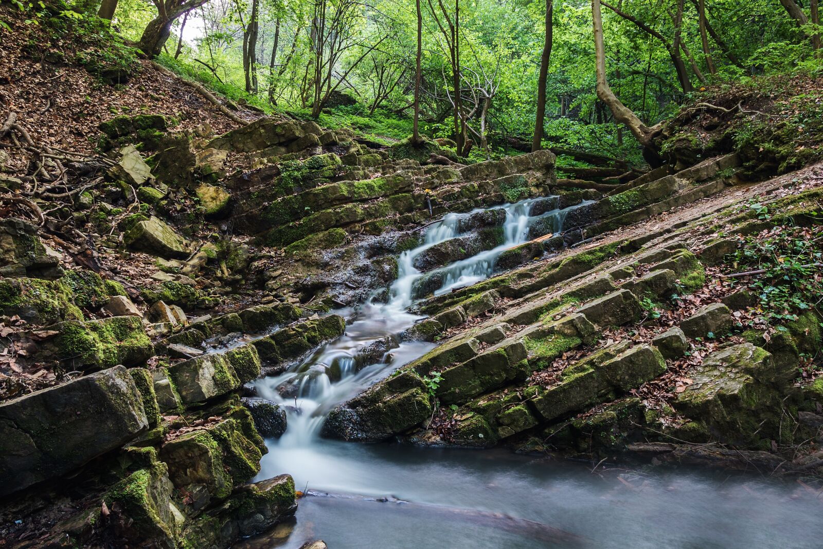 Canon EOS 750D (EOS Rebel T6i / EOS Kiss X8i) sample photo. Forest, waterfall, river photography