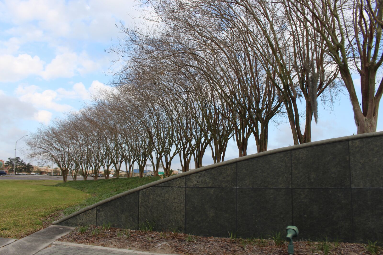 Canon EOS 700D (EOS Rebel T5i / EOS Kiss X7i) sample photo. Trees, curve, decoration photography