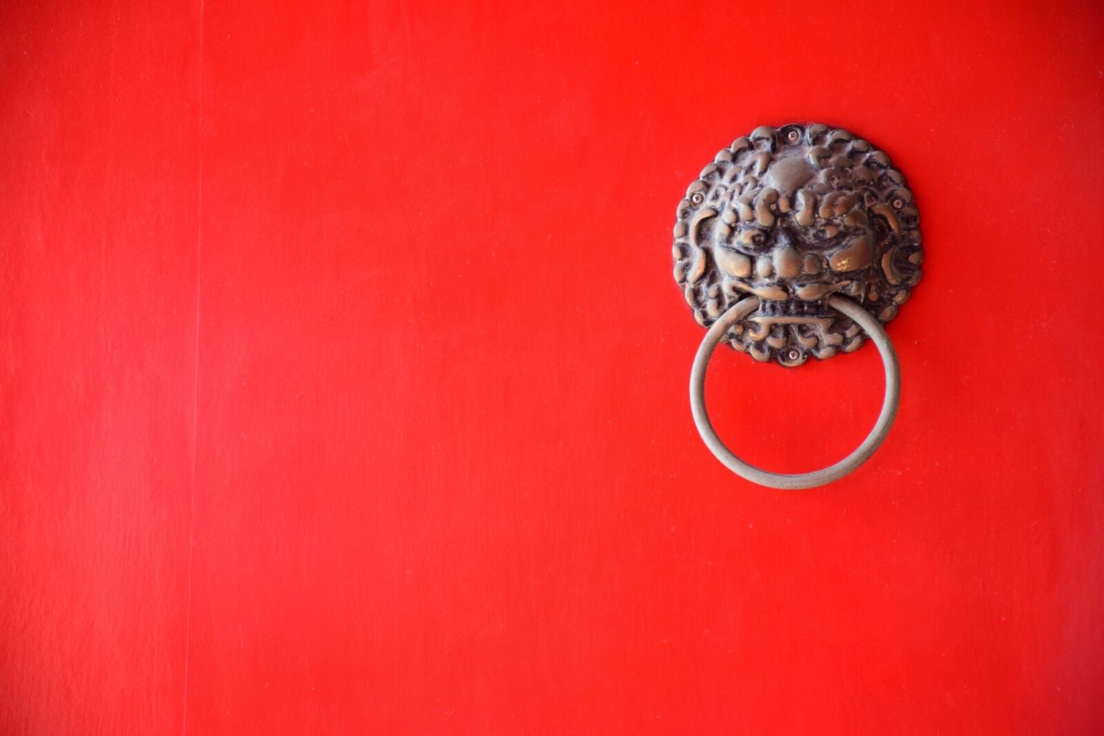 Nikon D5300 sample photo. Leo, door, architecture photography