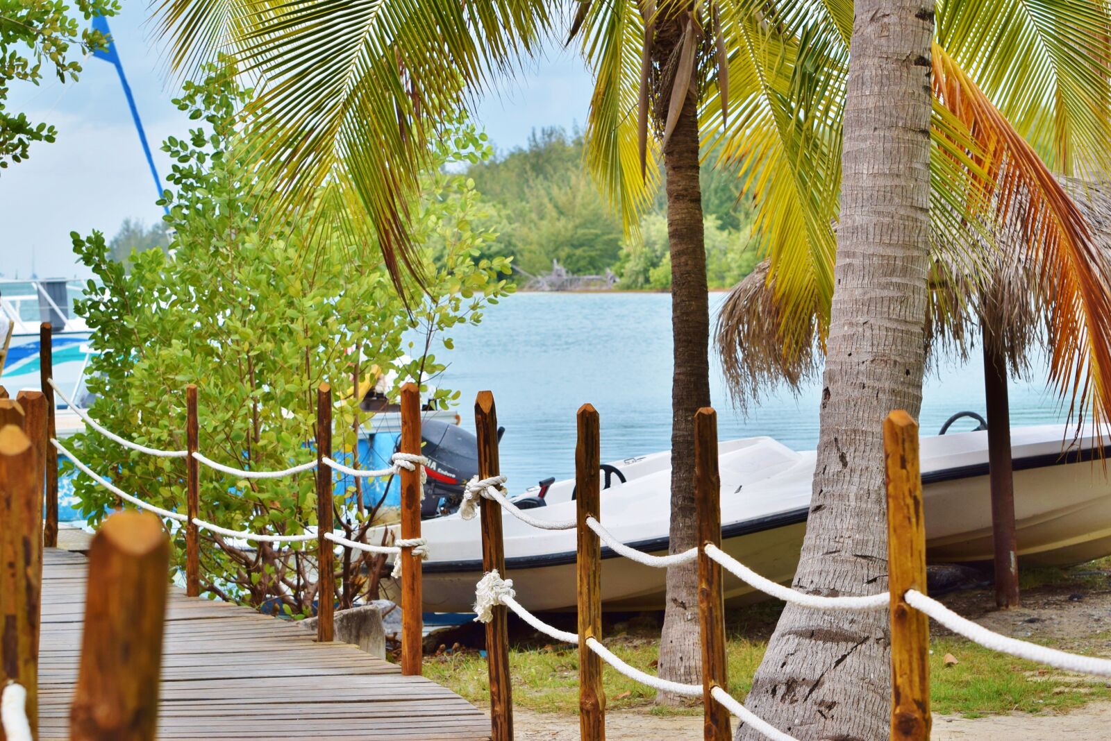 Nikon D3300 sample photo. Tropical, paradise, ocean photography