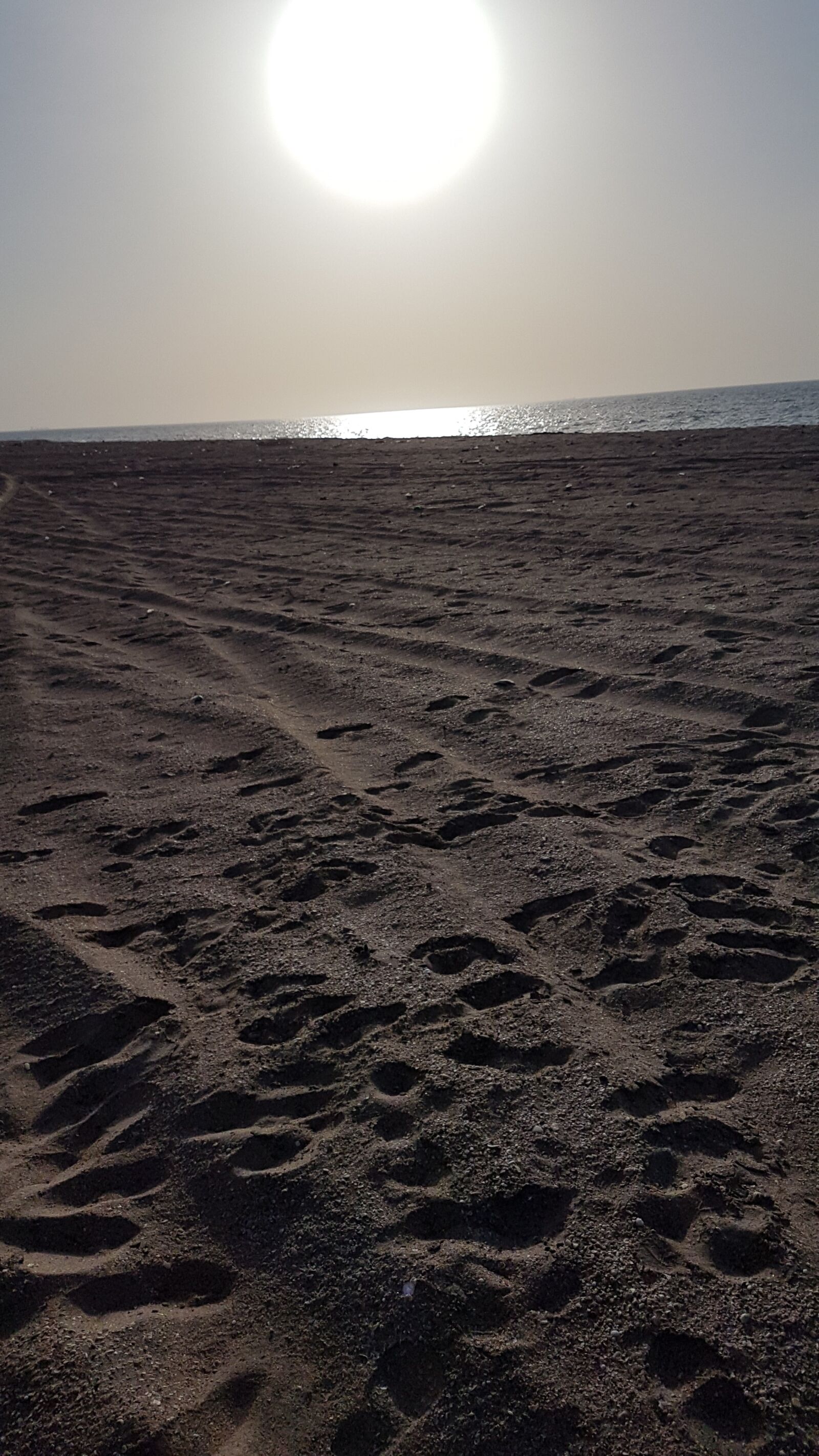 Samsung Galaxy S7 Edge sample photo. Somali, somaliland, beach photography