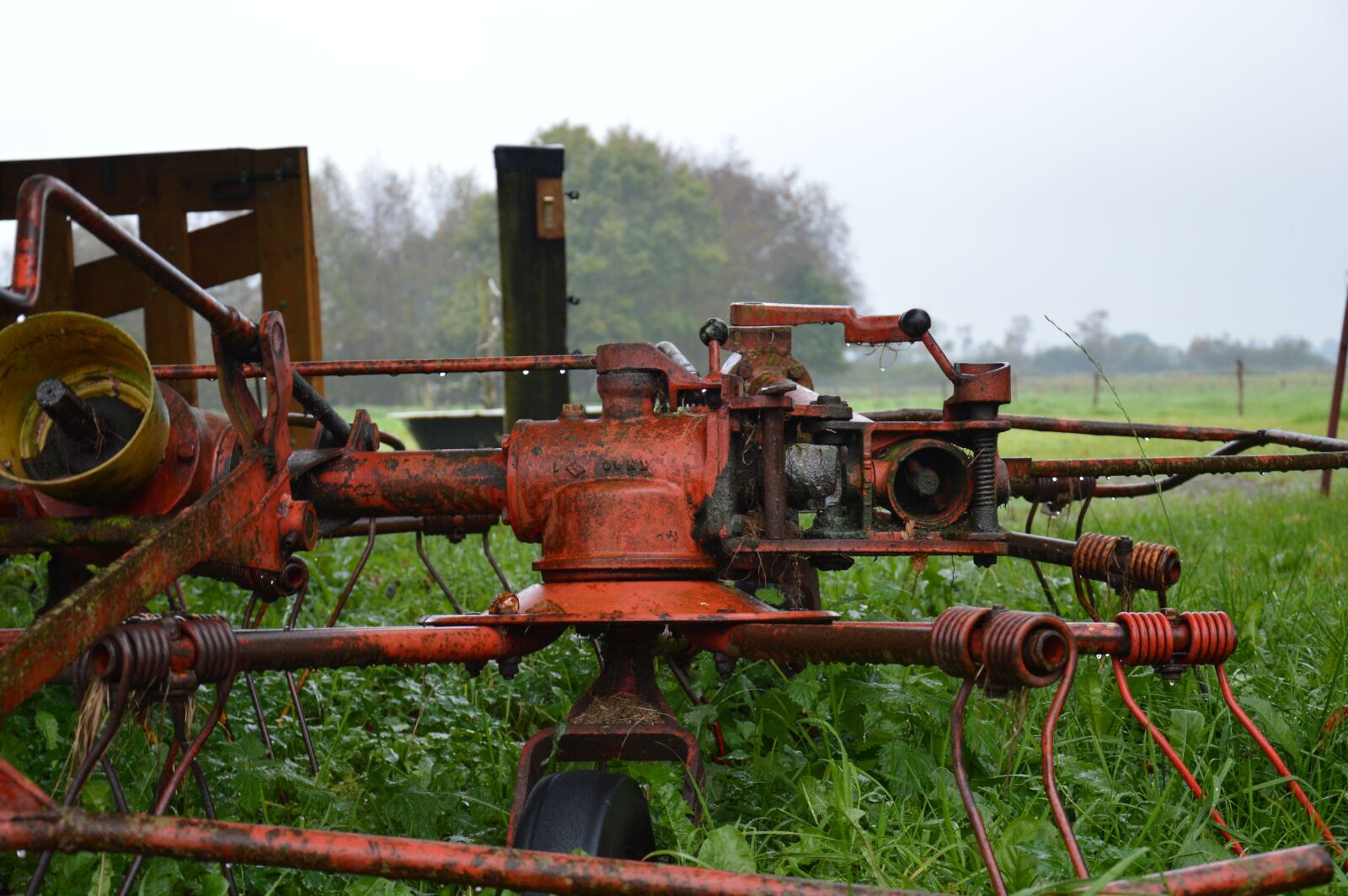 Nikon D3200 sample photo. Agriculture, country life, farm photography