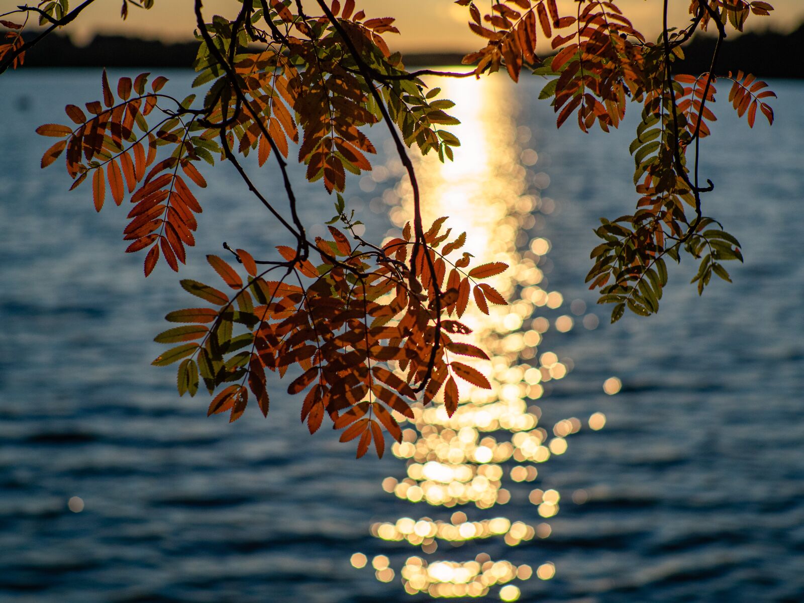 Olympus OM-D E-M1 Mark II sample photo. Lake, landscape, nature photography