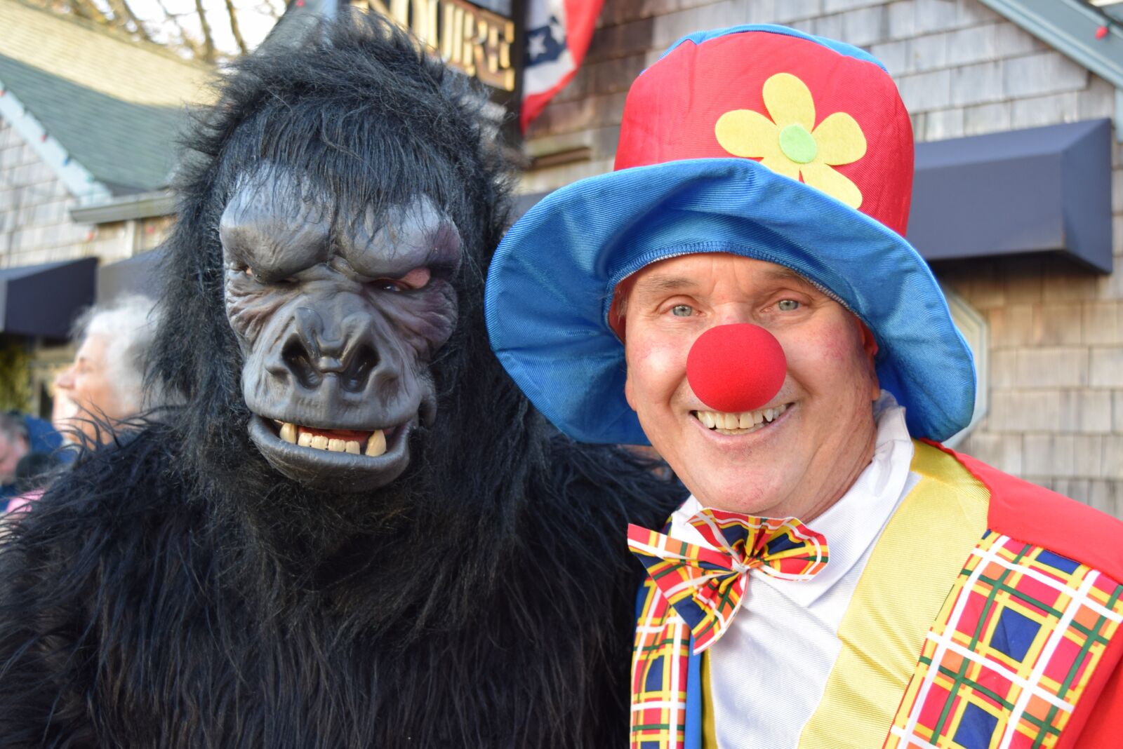 Nikon D3300 sample photo. Clown, gorilla, new year's photography