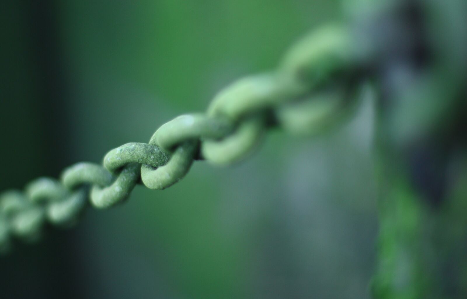 Canon EOS 450D (EOS Rebel XSi / EOS Kiss X2) sample photo. Chained, link, connection photography