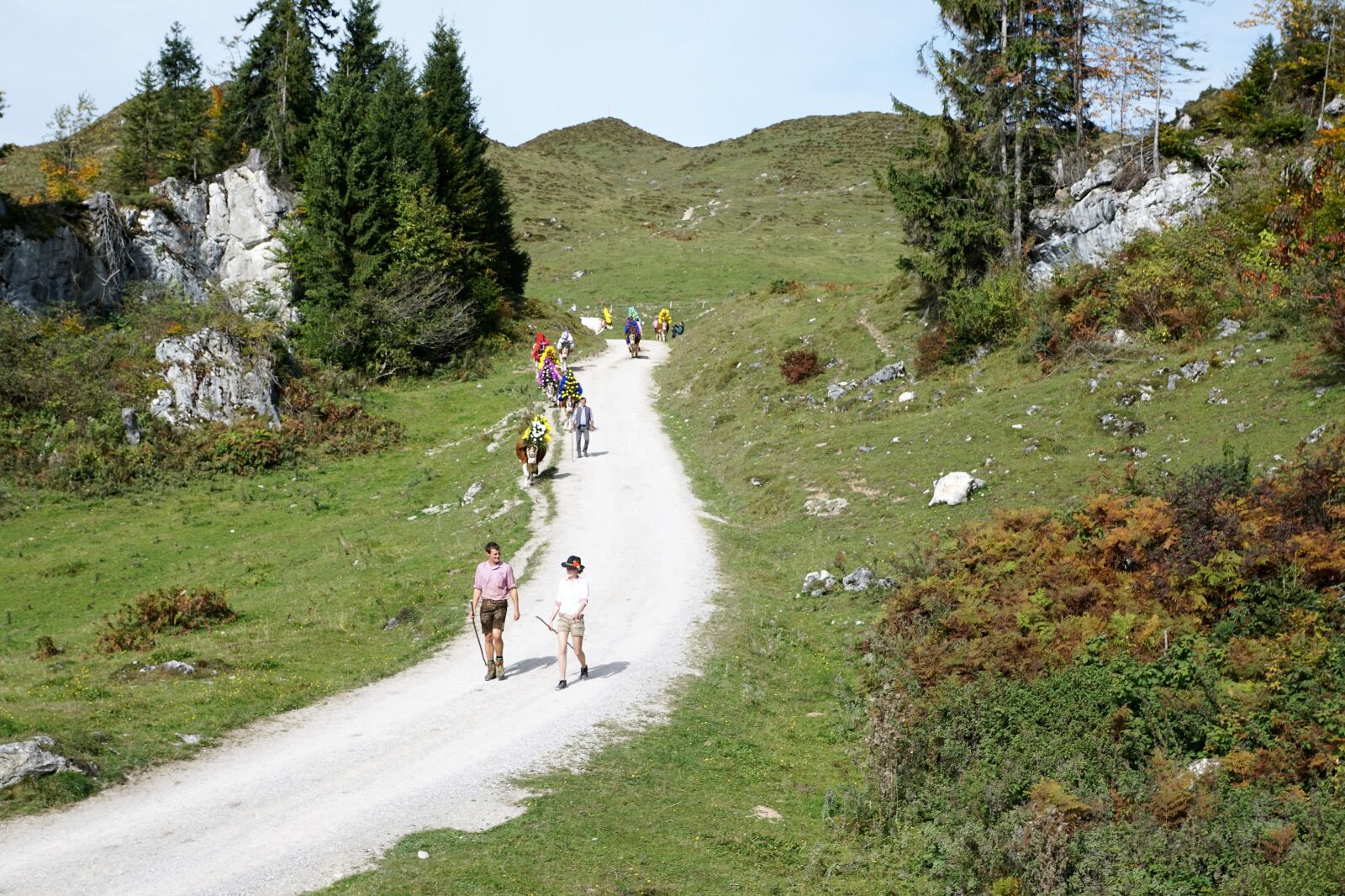 Sony ILCA-77M2 + Sony DT 16-50mm F2.8 SSM sample photo. Alm, austria, wilder photography