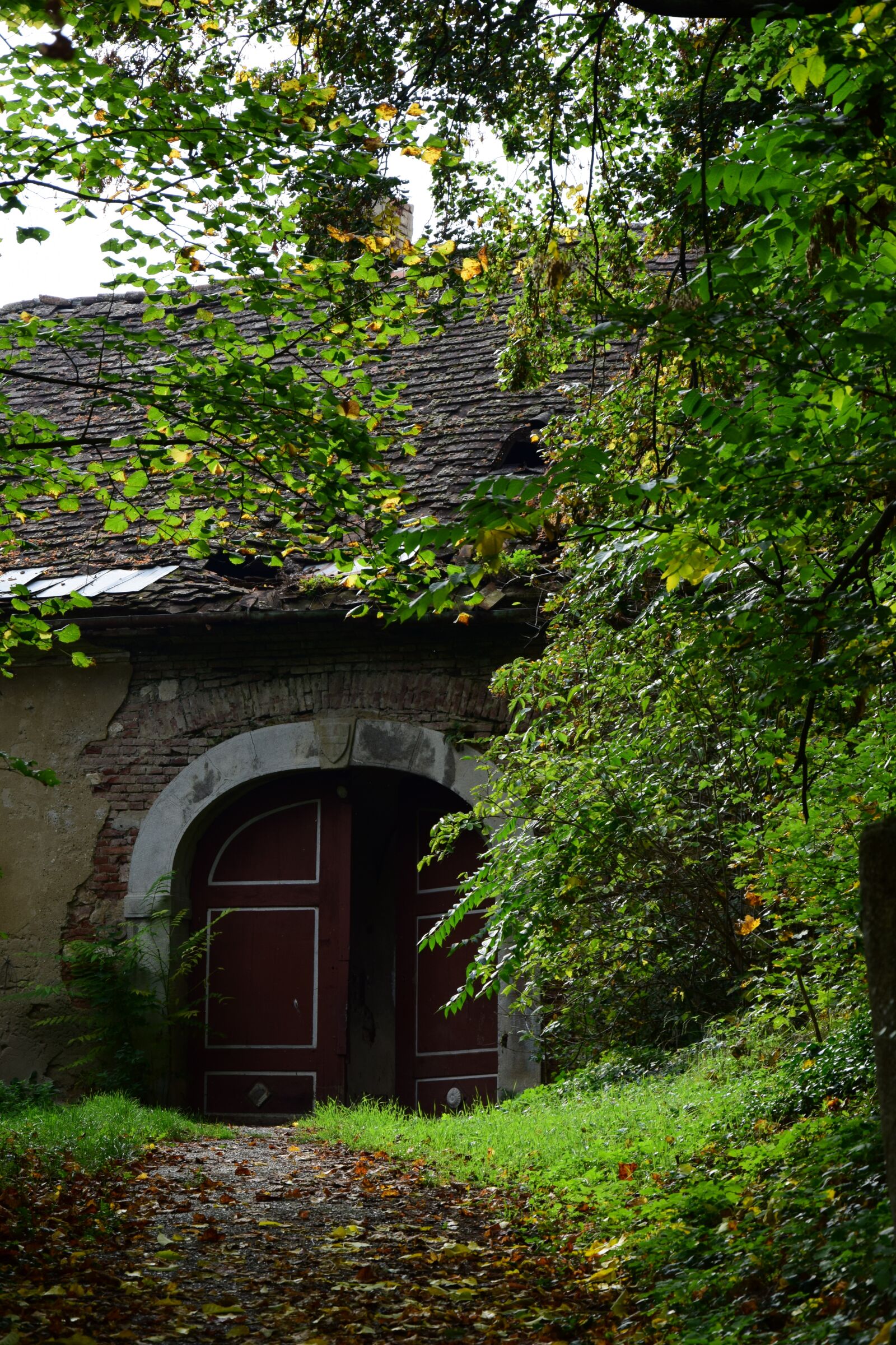 Nikon D5300 sample photo. House, old, old house photography