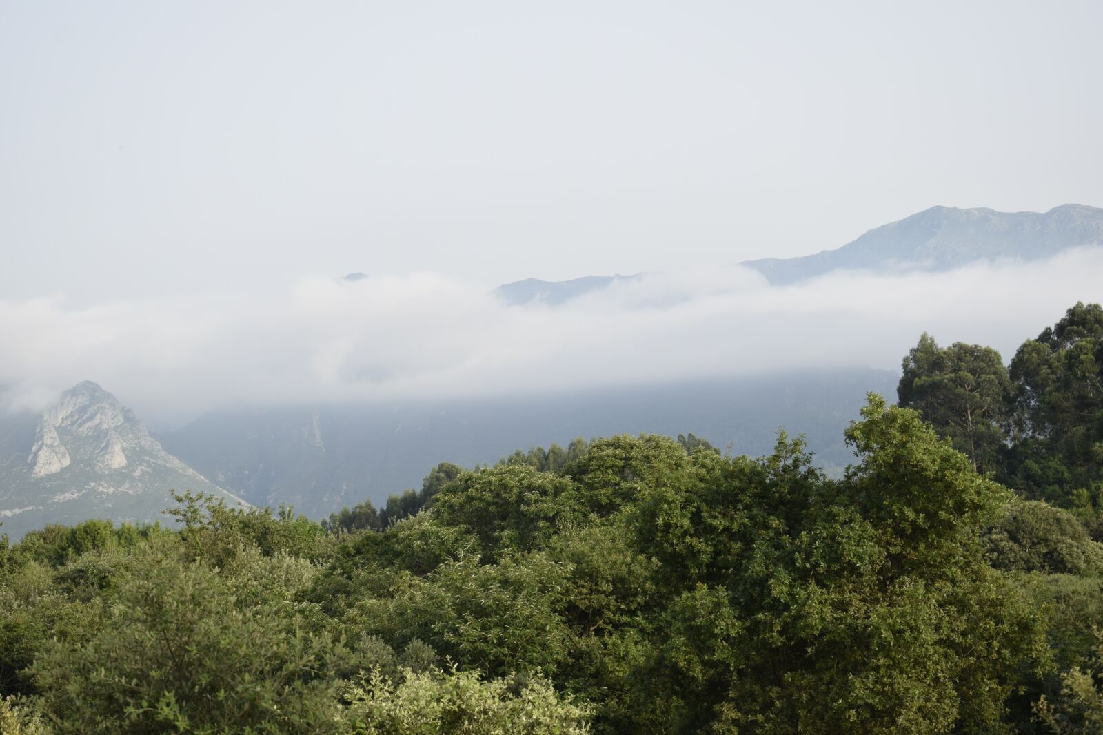Nikon D3300 sample photo. Sky, fog, landscape photography