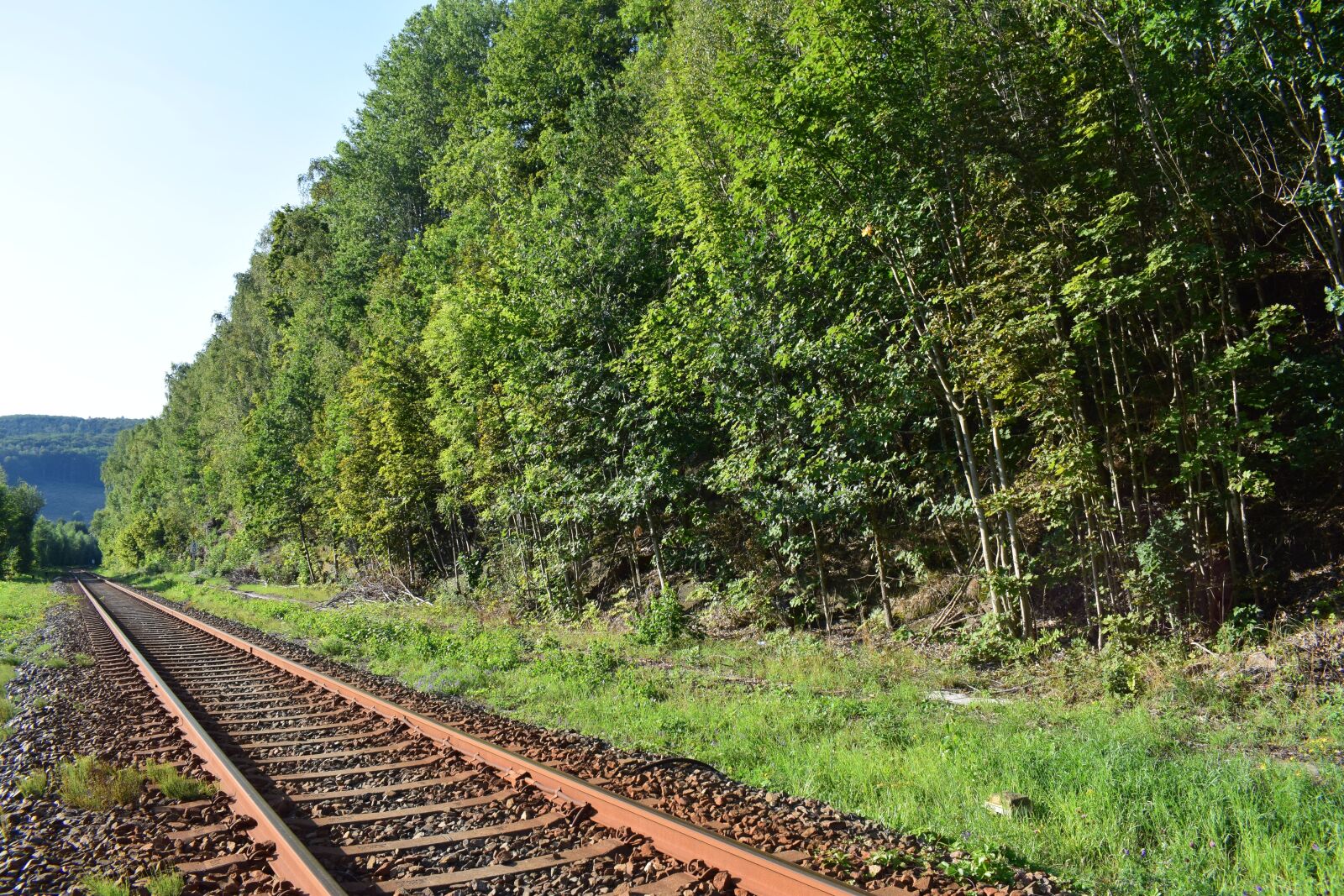 Nikon D5300 sample photo. Railway line, gleise, rails photography