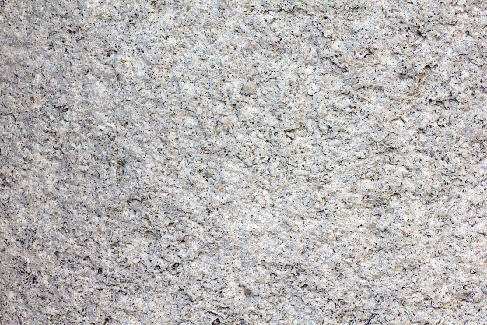 Canon EOS 550D (EOS Rebel T2i / EOS Kiss X4) sample photo. Texture, pattern, background photography