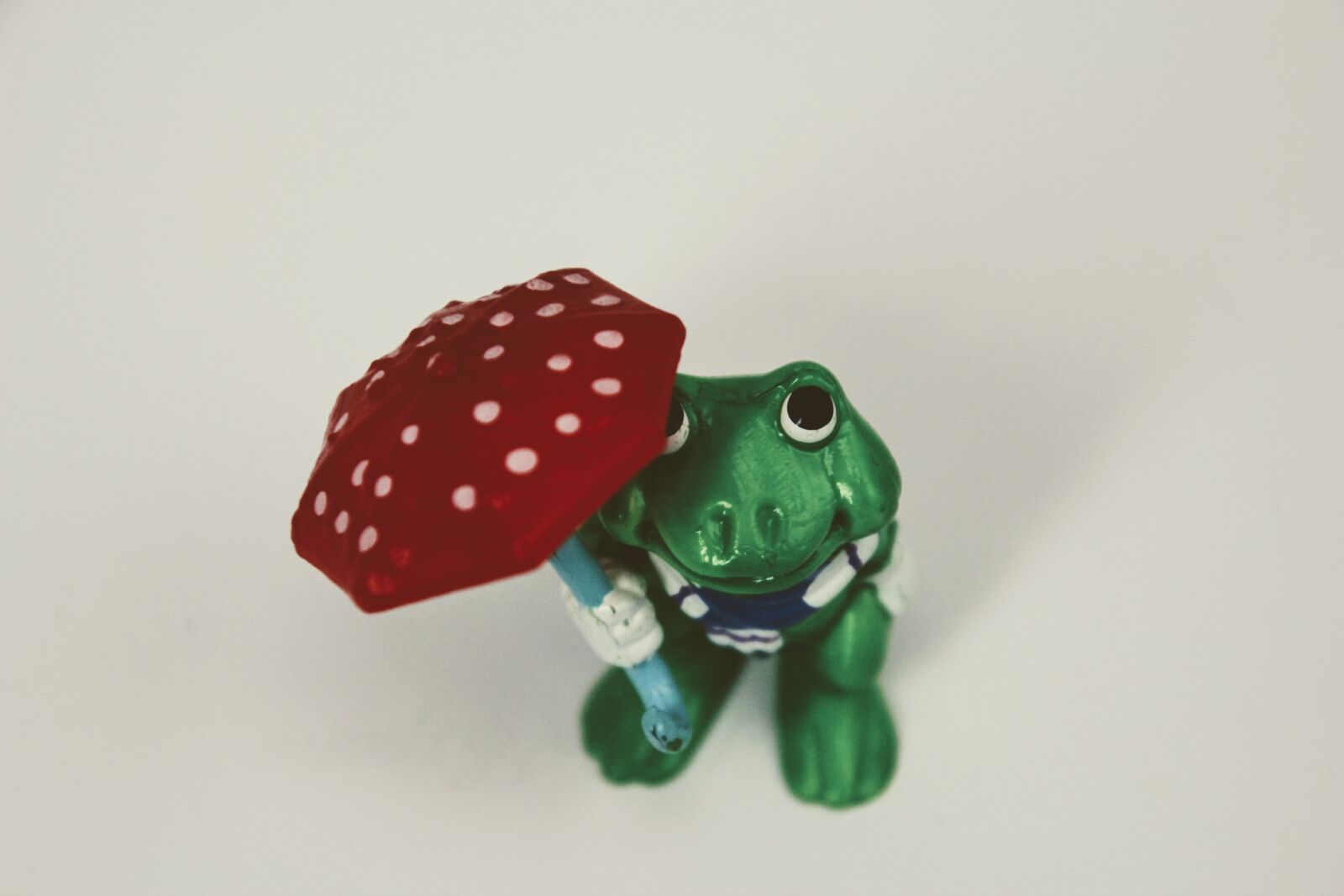 Canon EOS 60D sample photo. Weatherman, green, frog photography