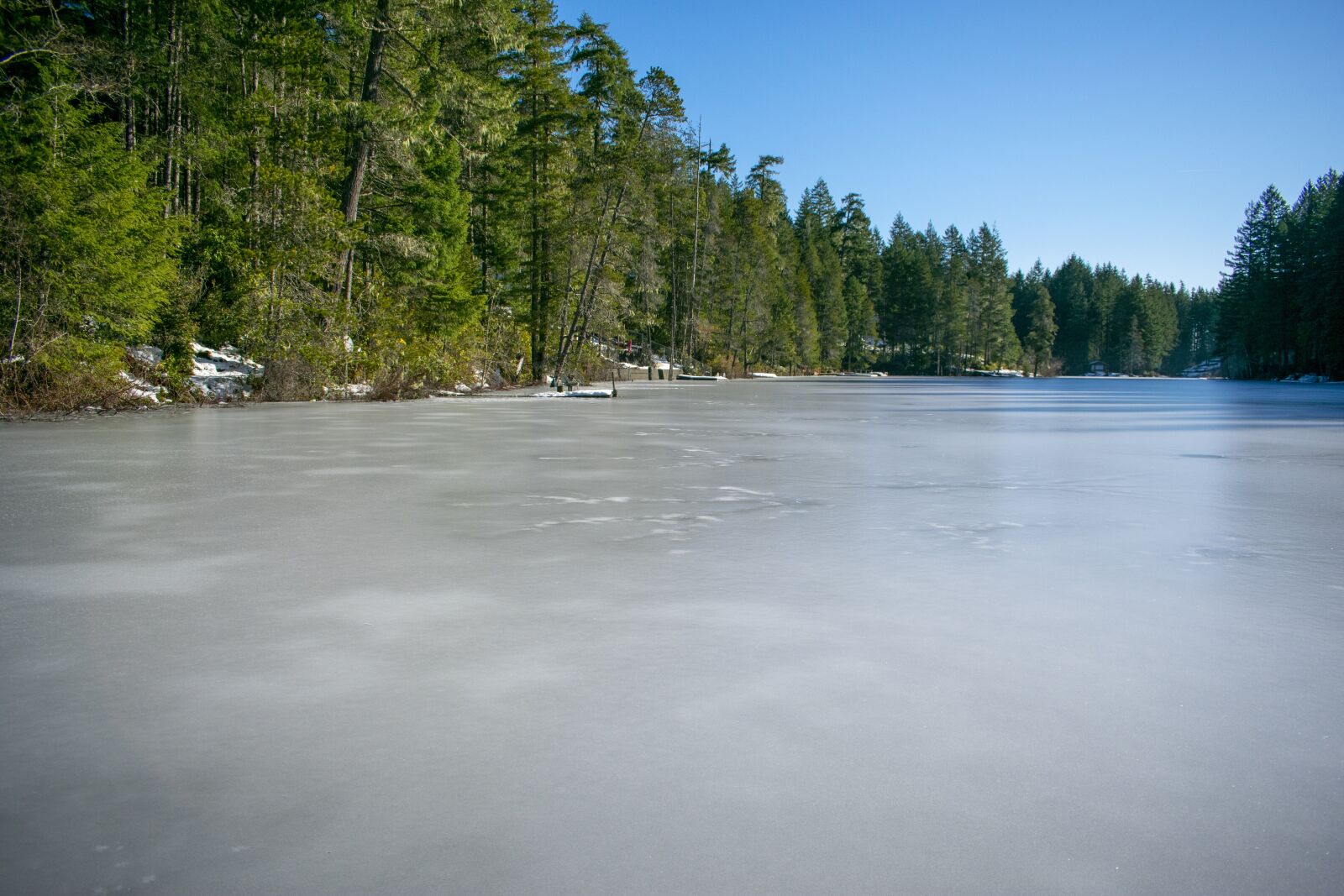 Nikon D3400 sample photo. Collins lake washington, frozen photography