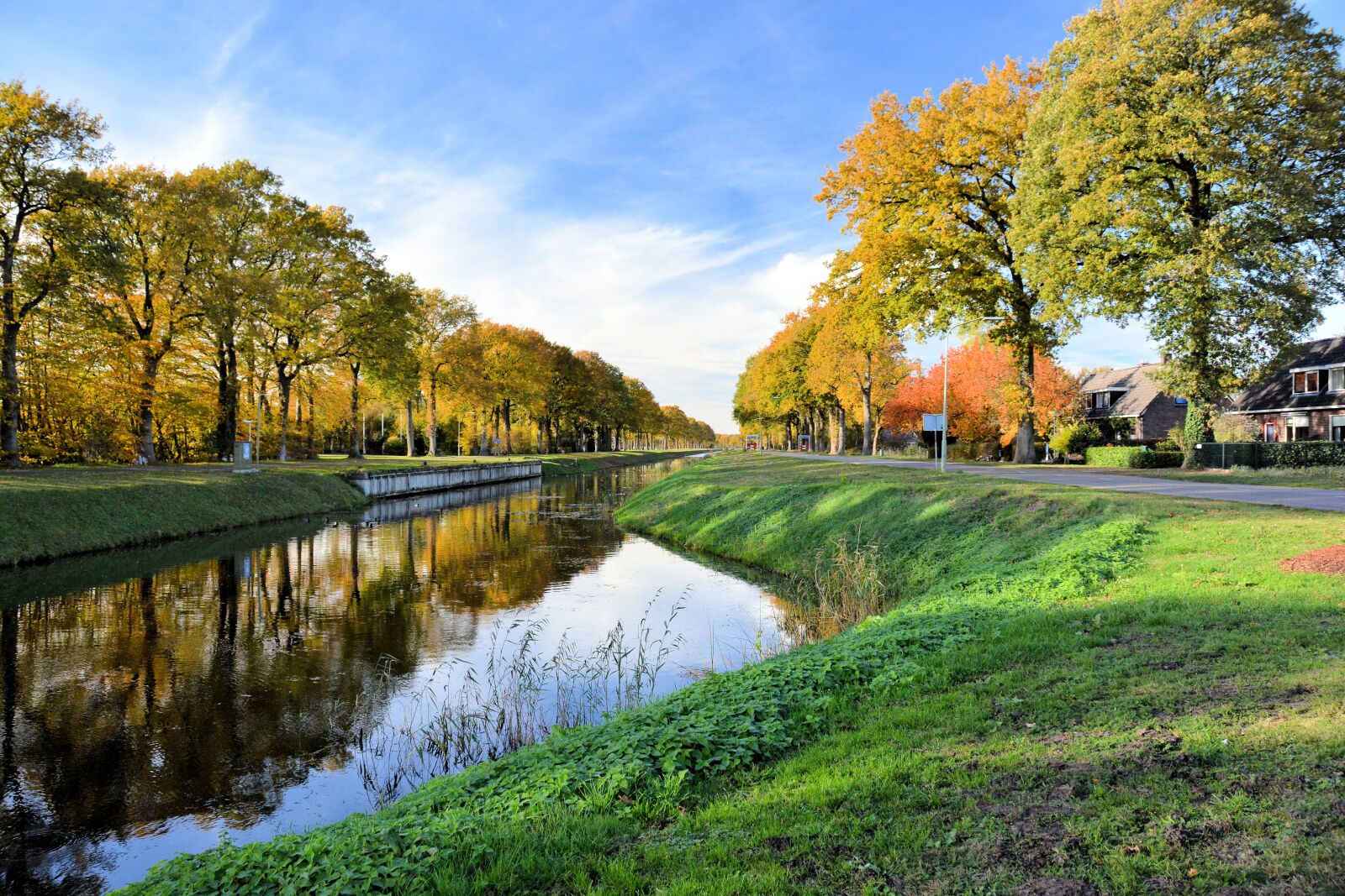 Nikon D7100 sample photo. Channel, trees, landscape photography