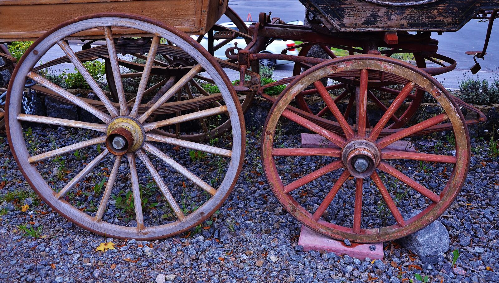 Nikon D7000 sample photo. Horse, carrige, travel photography