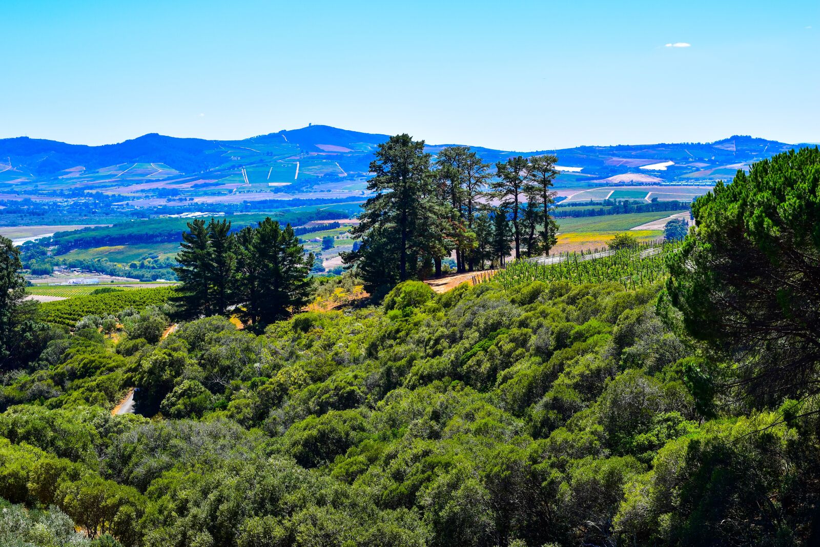 Nikon D5500 sample photo. South africa, western cape photography