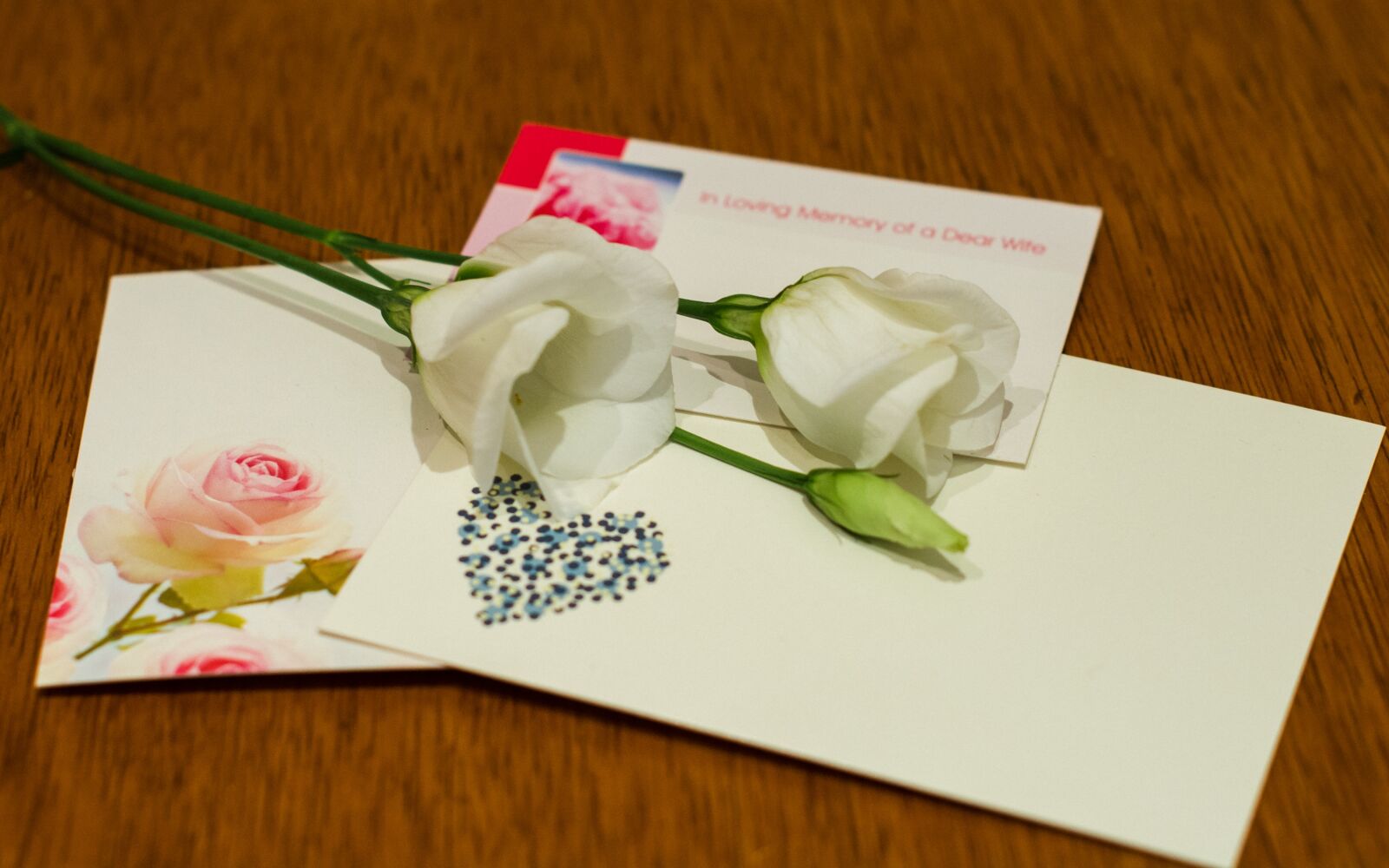 Nikon D7100 sample photo. Memorial, funeral, mourning photography
