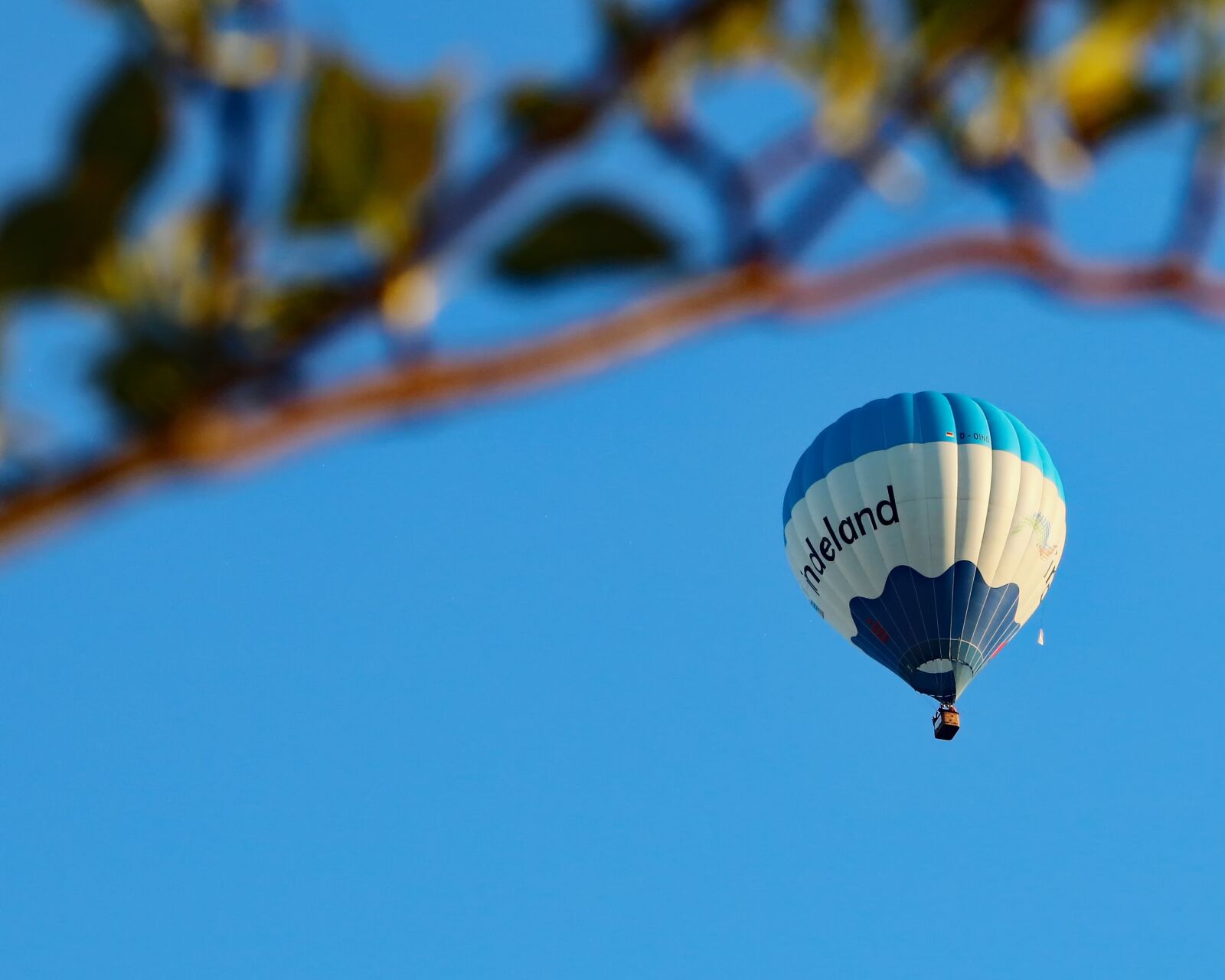 Canon EOS 80D sample photo. Hot air balloon, balloon photography