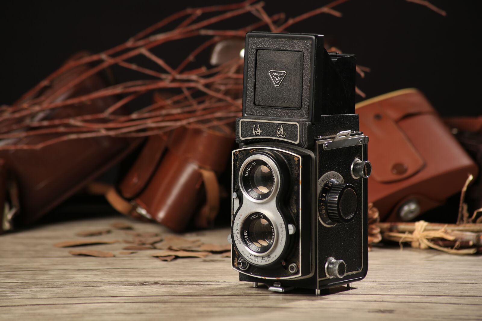 Canon EOS 6D sample photo. Twin-lens reflex camera, us photography