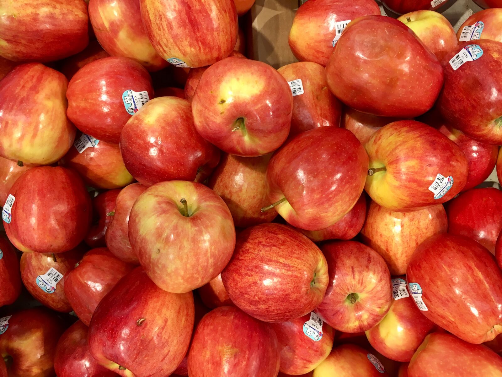 Apple iPhone 6s sample photo