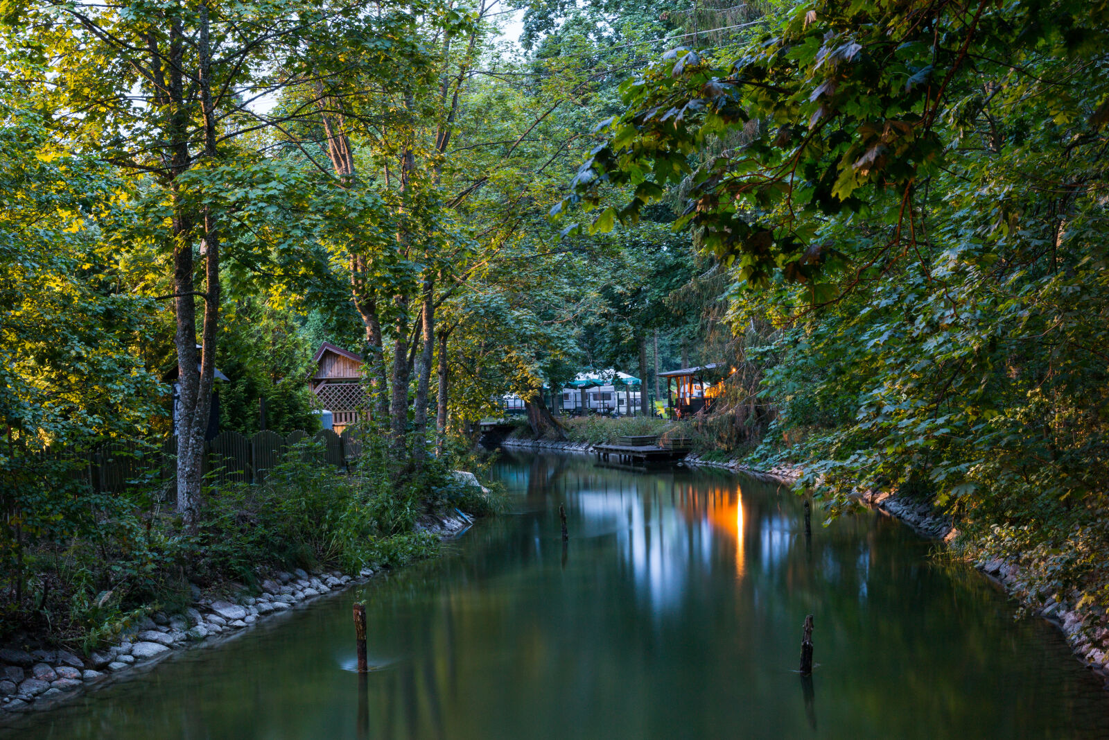 Canon EOS 6D + Canon EF 50mm F1.4 USM sample photo. Borsk, green, holidays, nature photography