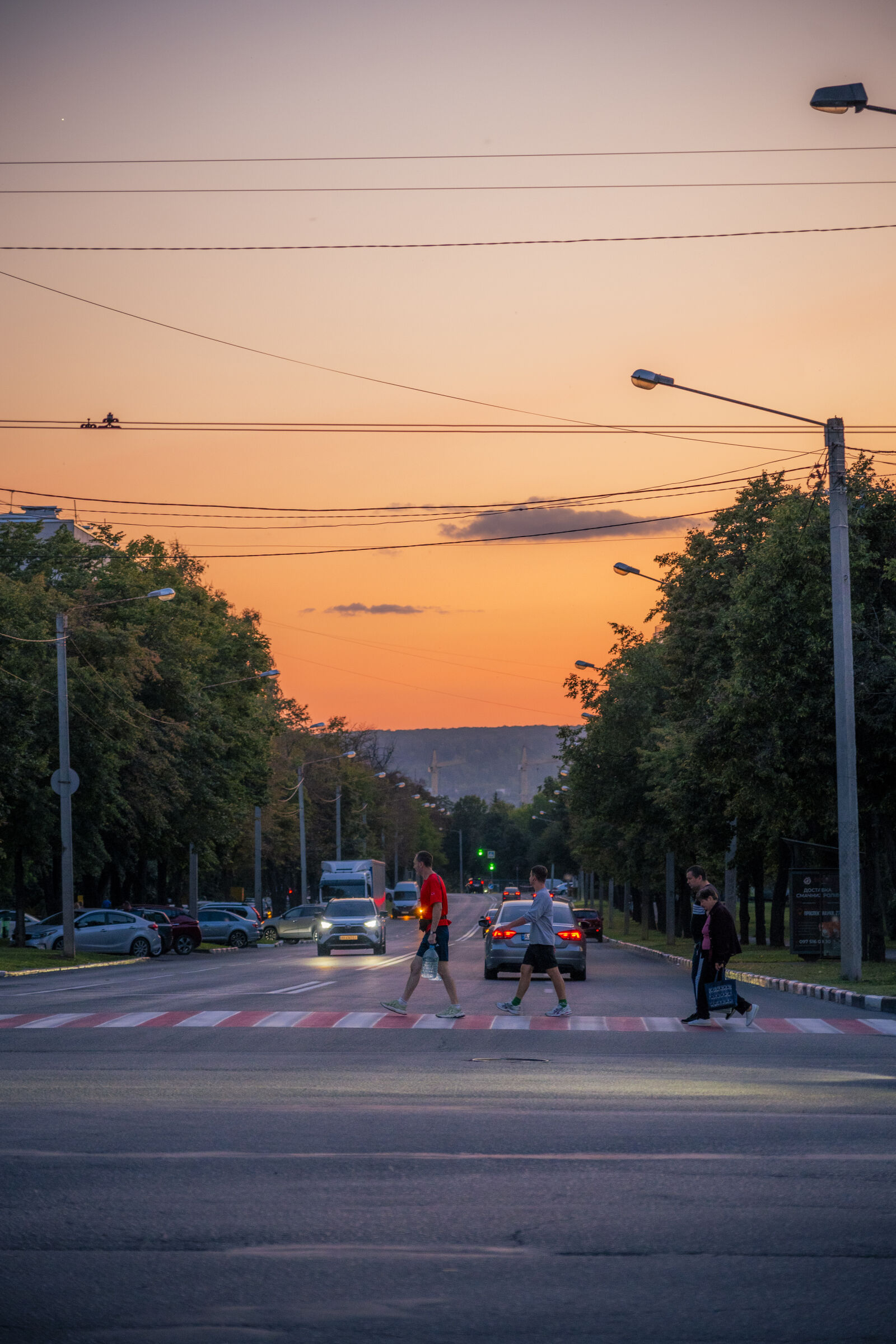 Sony a7 IV sample photo